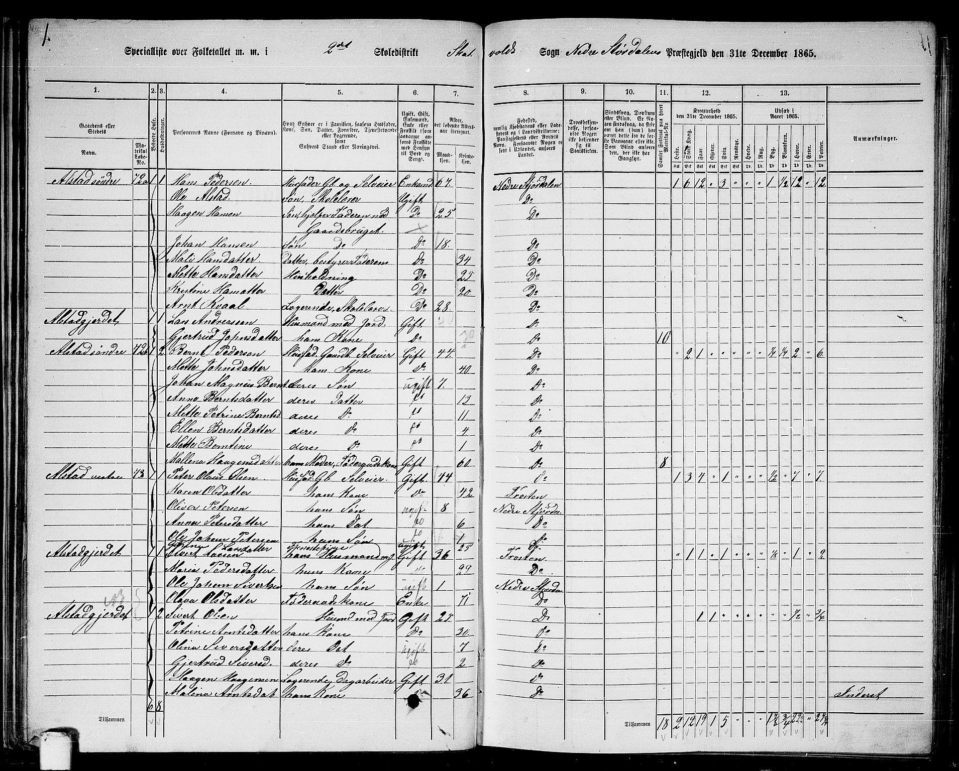 RA, 1865 census for Nedre Stjørdal, 1865, p. 36