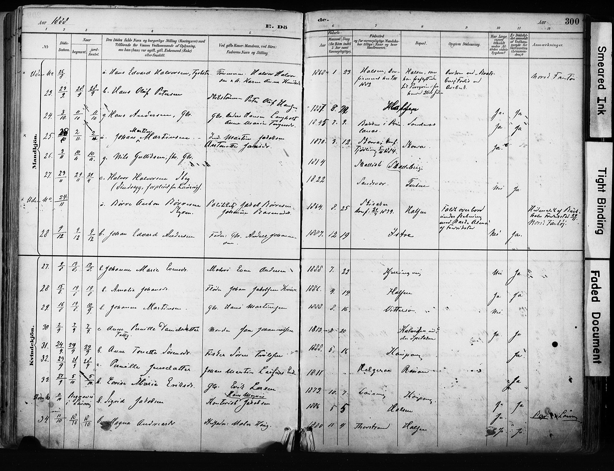 Tjølling kirkebøker, AV/SAKO-A-60/F/Fa/L0009: Parish register (official) no. 9, 1887-1905, p. 300