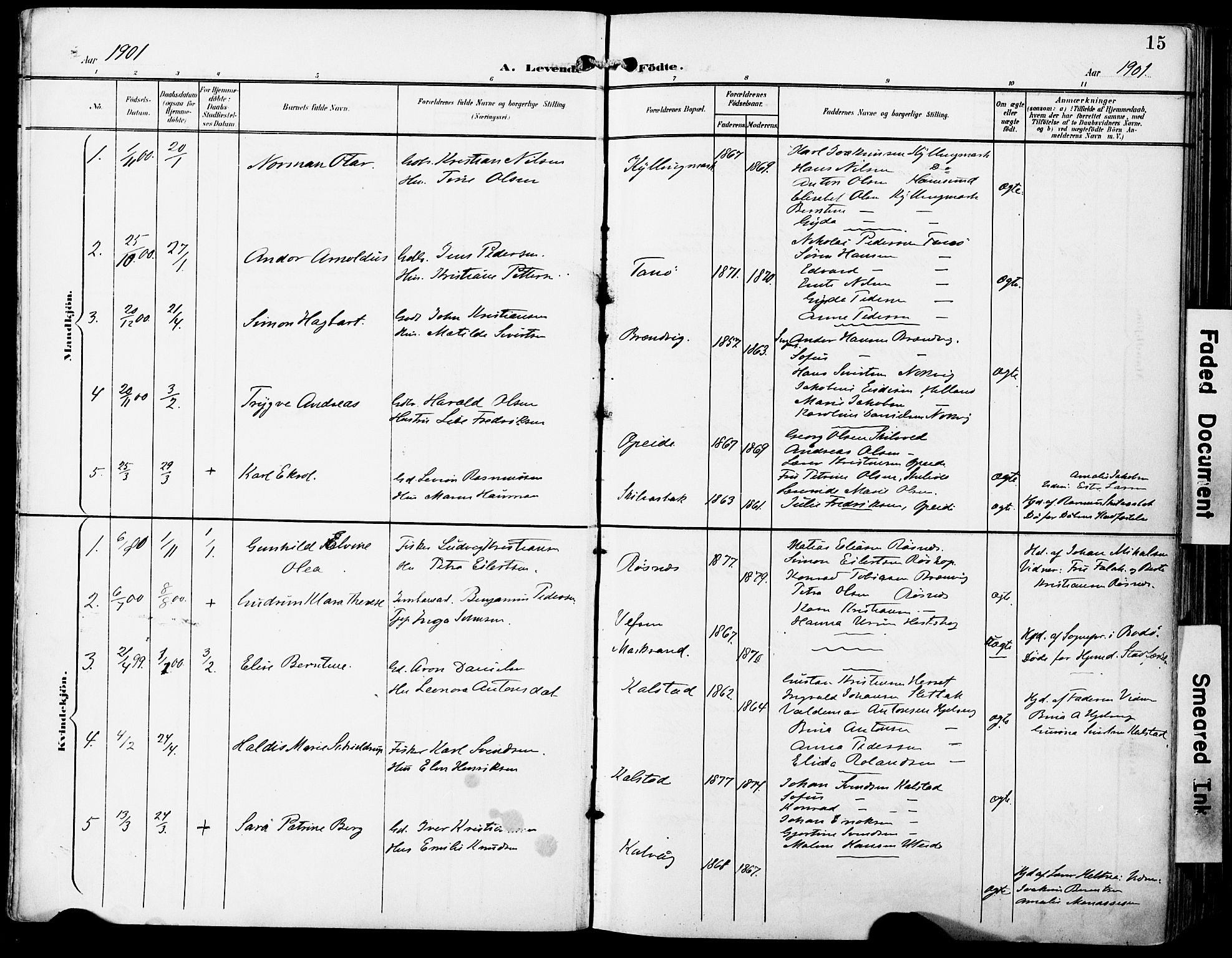 Ministerialprotokoller, klokkerbøker og fødselsregistre - Nordland, AV/SAT-A-1459/859/L0848: Parish register (official) no. 859A08, 1900-1912, p. 15