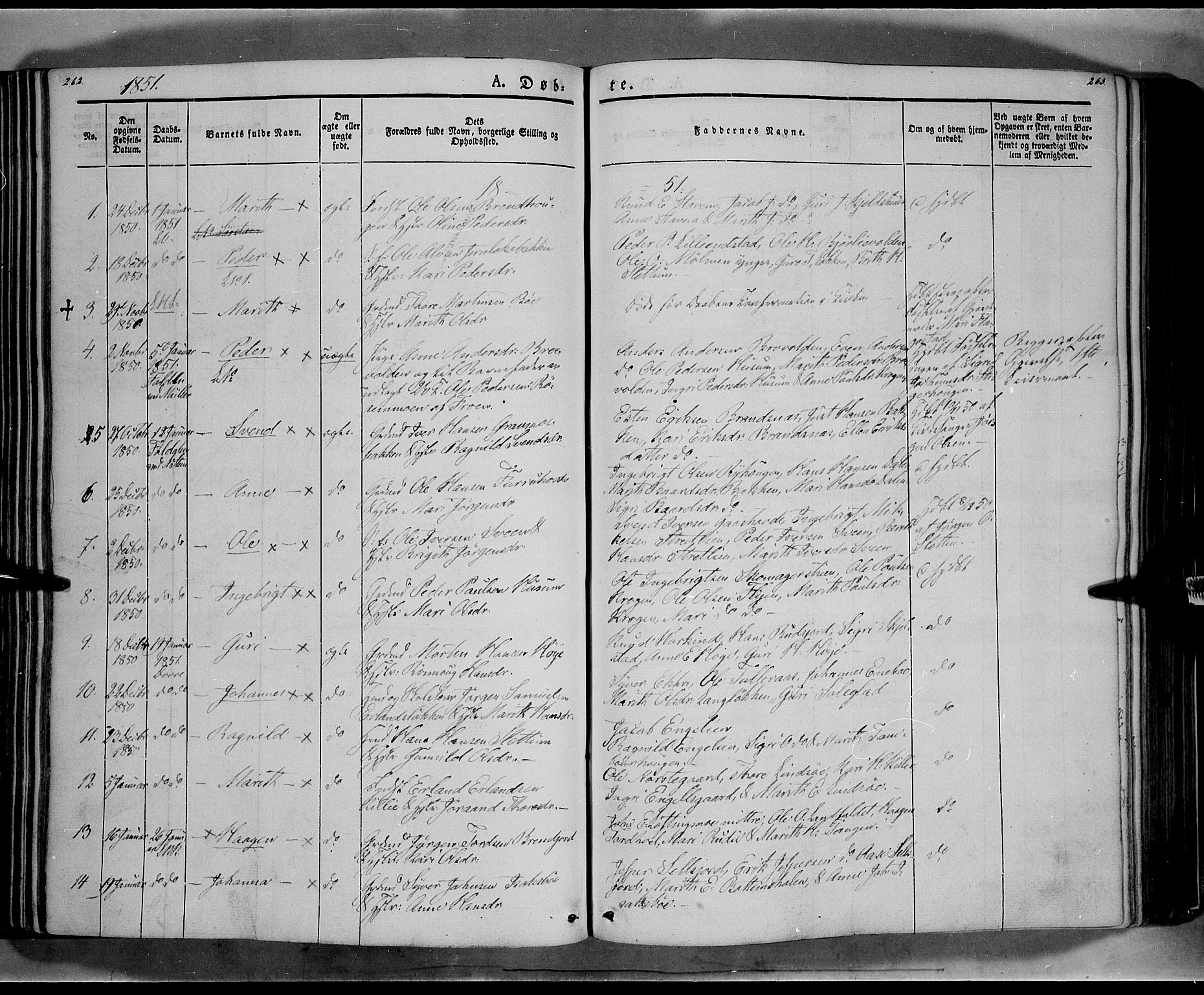Lesja prestekontor, SAH/PREST-068/H/Ha/Haa/L0006: Parish register (official) no. 6A, 1843-1854, p. 262-263