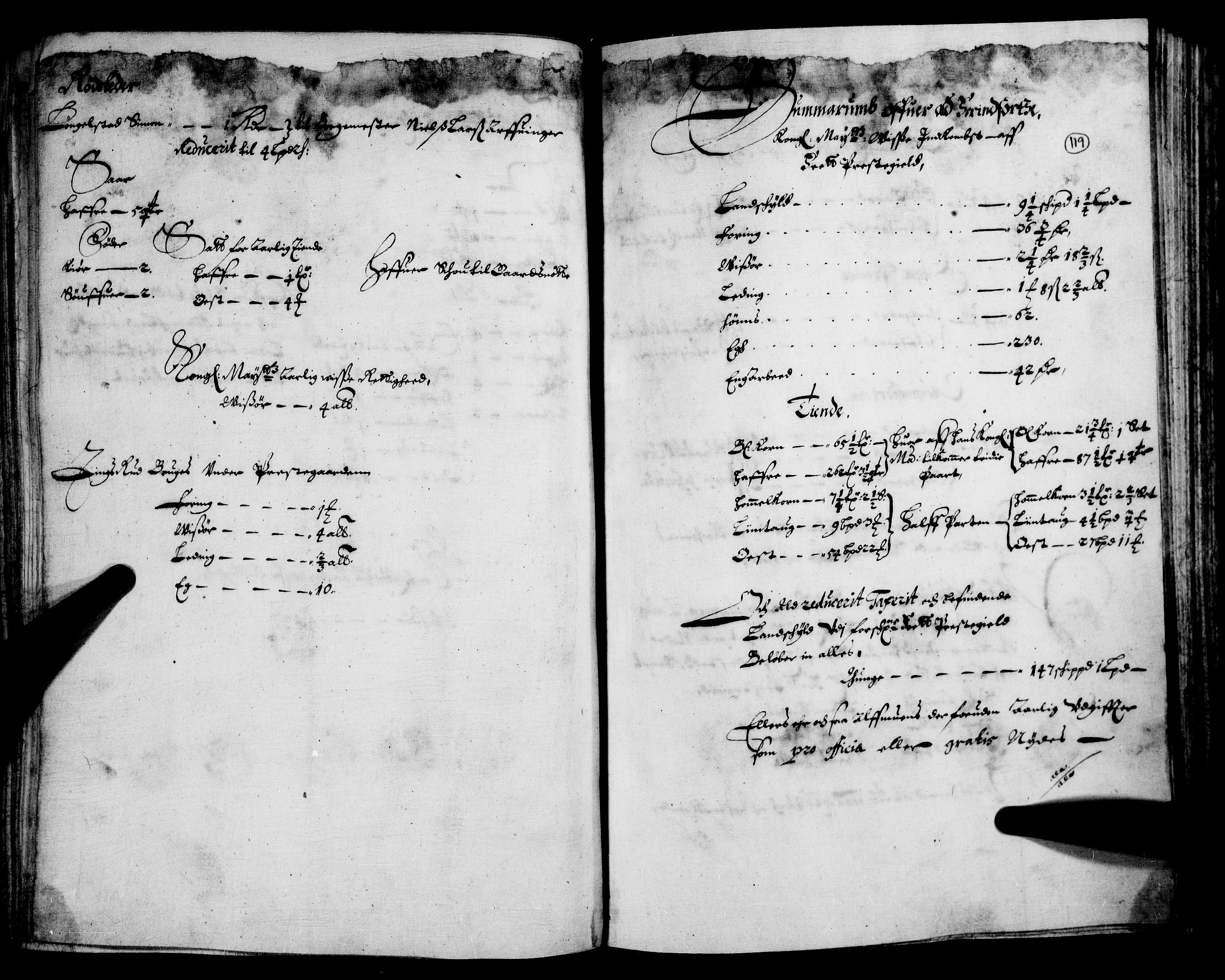 Rentekammeret inntil 1814, Realistisk ordnet avdeling, AV/RA-EA-4070/N/Nb/Nba/L0007: Nedre Romerike fogderi, 1. del, 1666, p. 118b-119a
