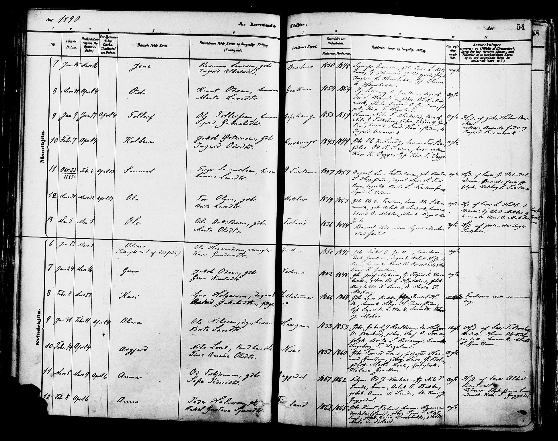 Suldal sokneprestkontor, AV/SAST-A-101845/01/IV/L0011: Parish register (official) no. A 11, 1878-1900, p. 54