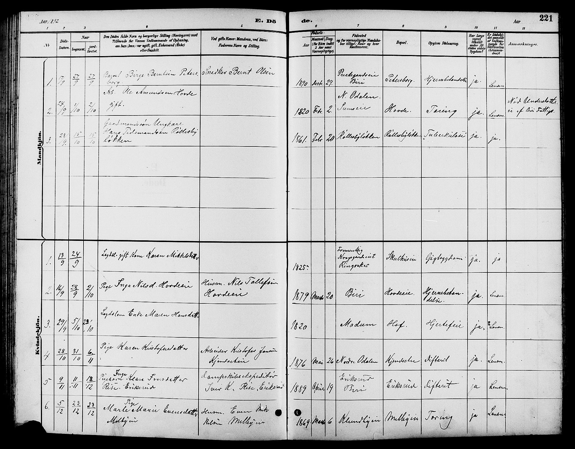 Biri prestekontor, SAH/PREST-096/H/Ha/Hab/L0004: Parish register (copy) no. 4, 1892-1909, p. 221