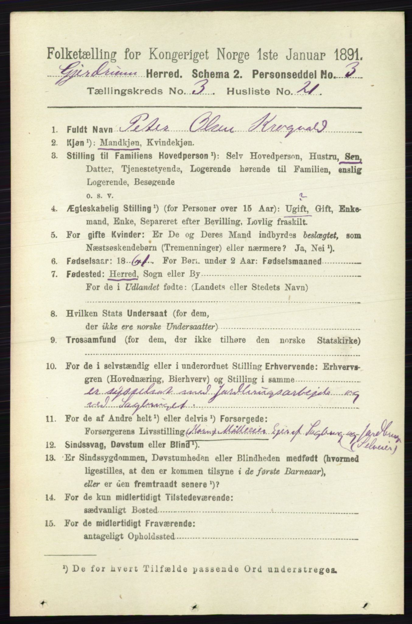 RA, 1891 census for 0234 Gjerdrum, 1891, p. 1373