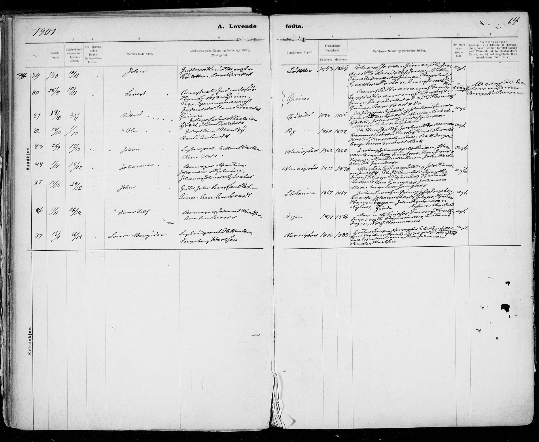 Ministerialprotokoller, klokkerbøker og fødselsregistre - Sør-Trøndelag, SAT/A-1456/668/L0811: Parish register (official) no. 668A11, 1894-1913, p. 64