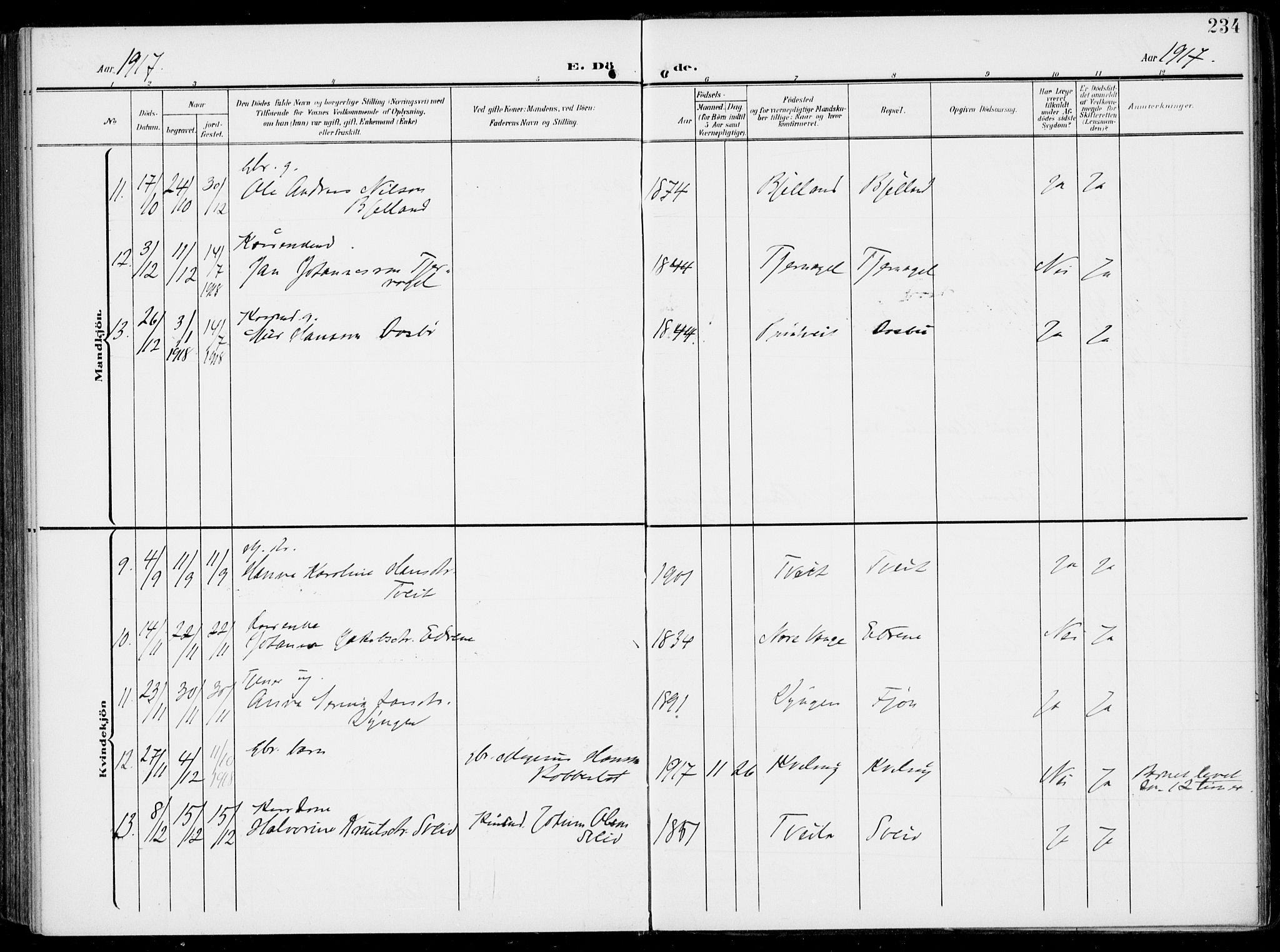 Sveio Sokneprestembete, AV/SAB-A-78501/H/Haa: Parish register (official) no. B  4, 1906-1919, p. 234