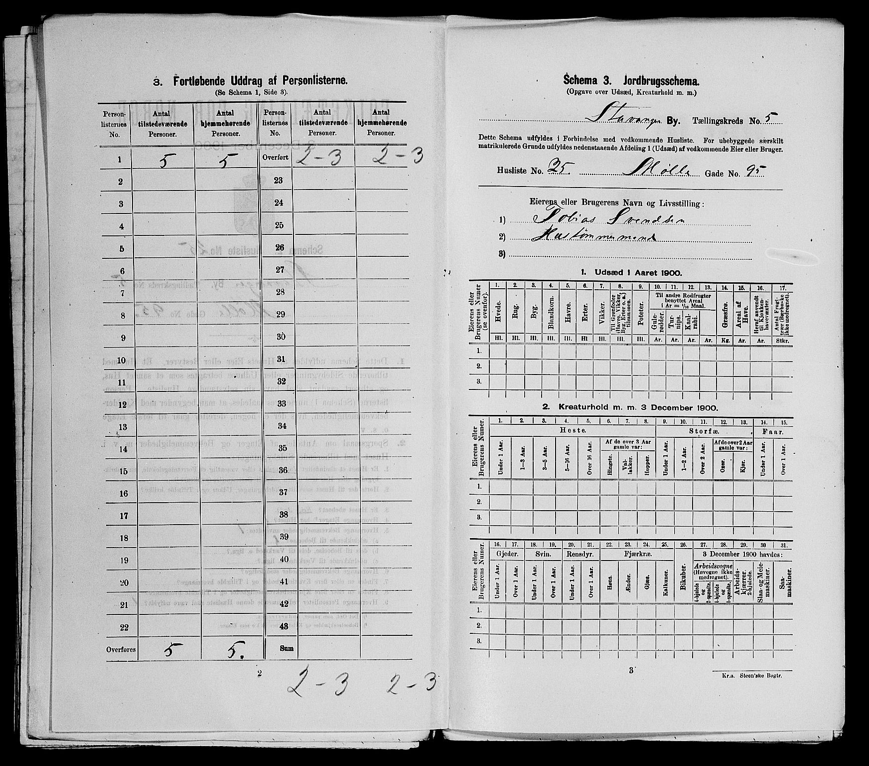 SAST, 1900 census for Stavanger, 1900, p. 1689