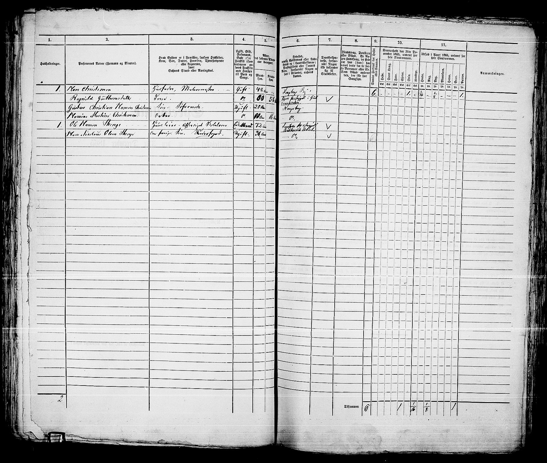 RA, 1865 census for Kongsberg/Kongsberg, 1865, p. 1139