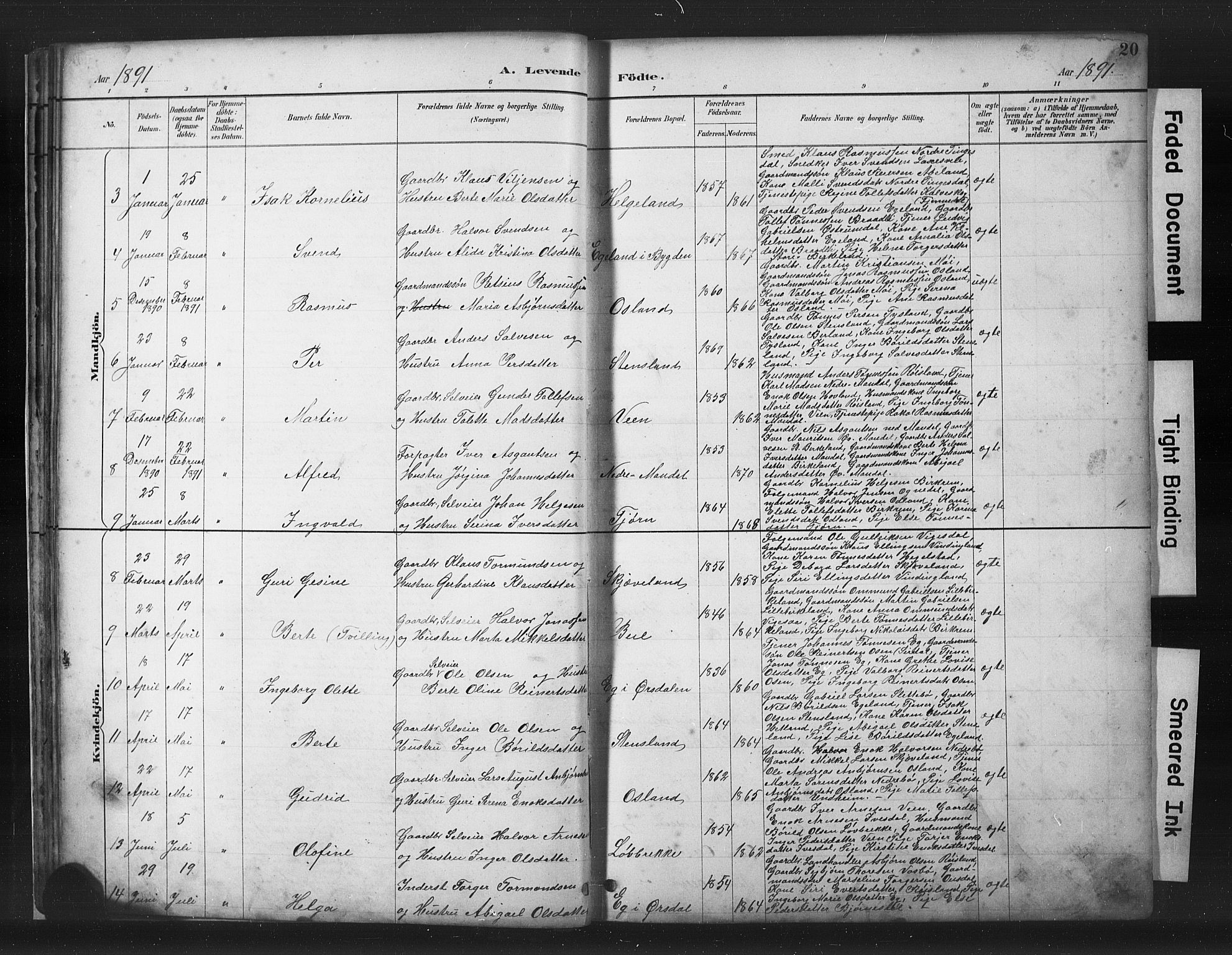 Helleland sokneprestkontor, AV/SAST-A-101810: Parish register (copy) no. B 5, 1887-1908, p. 20