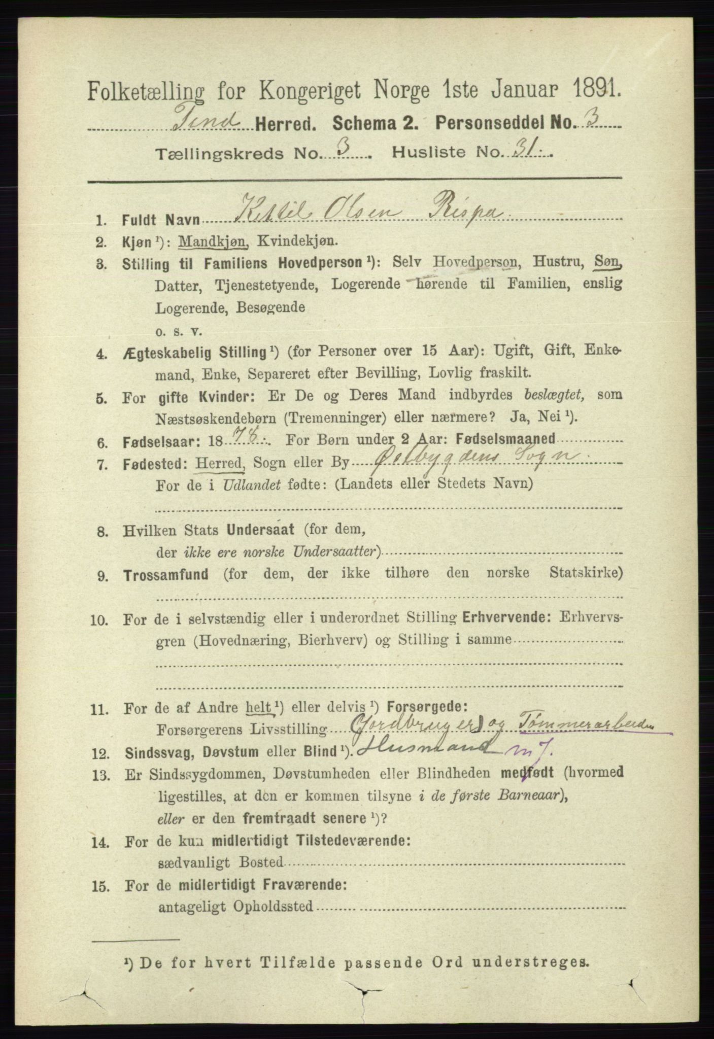 RA, 1891 census for 0826 Tinn, 1891, p. 668