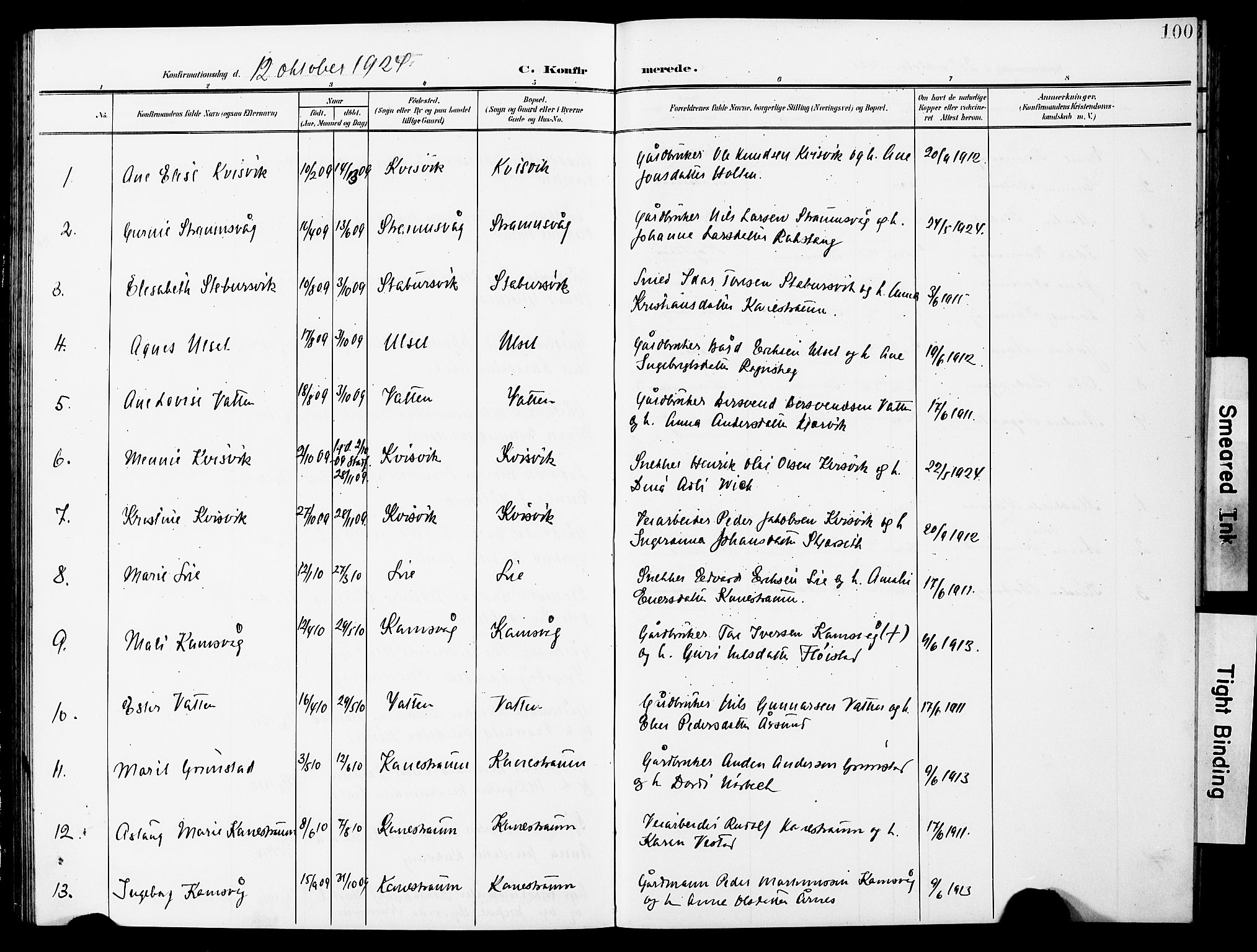 Ministerialprotokoller, klokkerbøker og fødselsregistre - Møre og Romsdal, AV/SAT-A-1454/587/L1001: Parish register (copy) no. 587C01, 1906-1927, p. 100