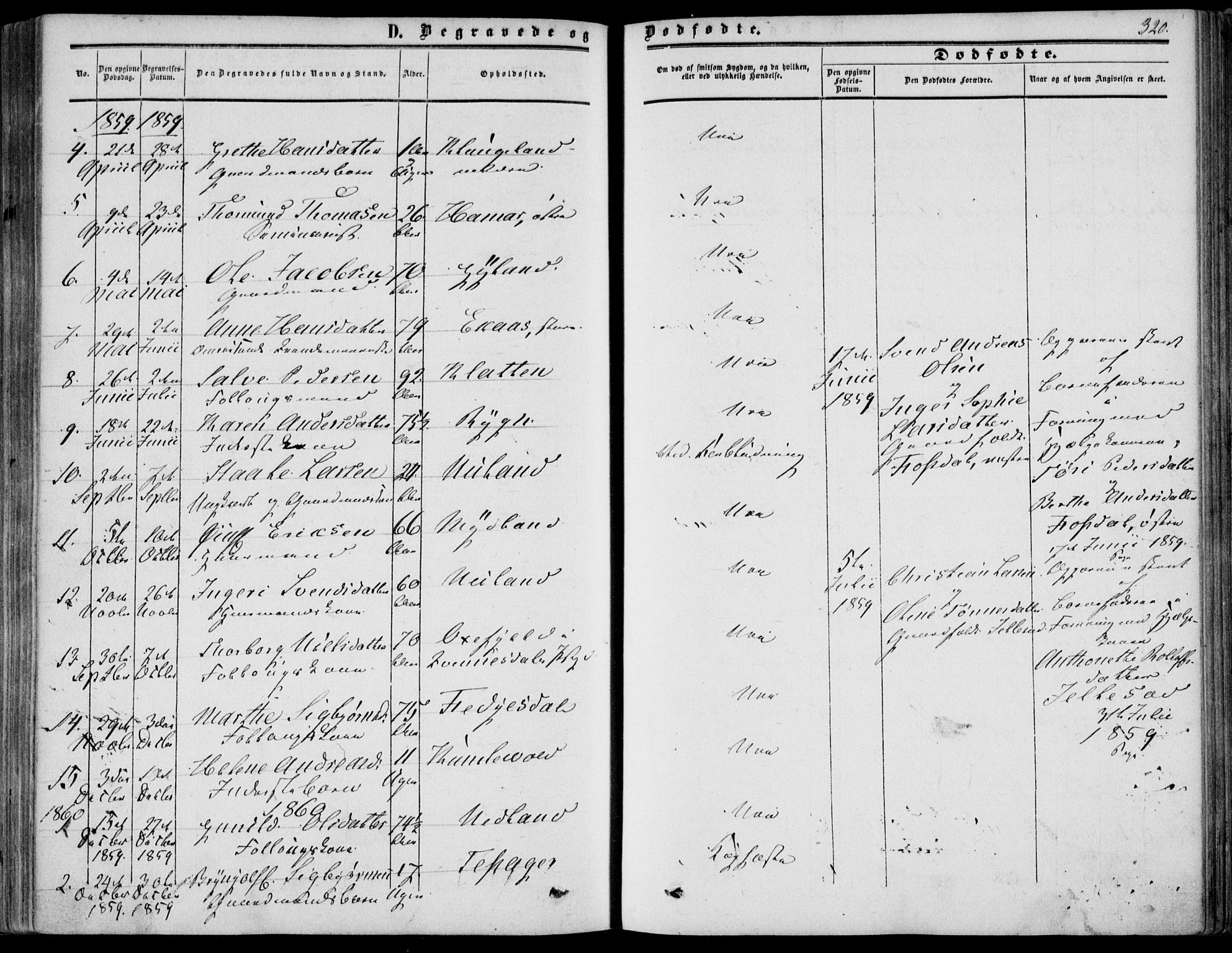 Bakke sokneprestkontor, SAK/1111-0002/F/Fa/Fab/L0002: Parish register (official) no. A 2, 1855-1884, p. 320