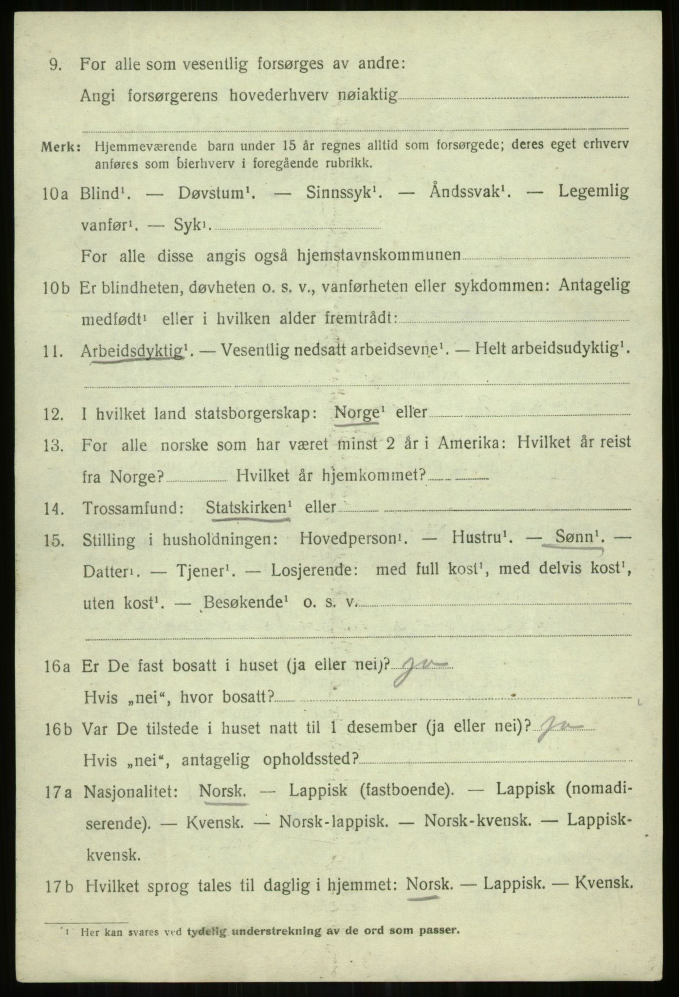 SATØ, 1920 census for Lenvik, 1920, p. 3103