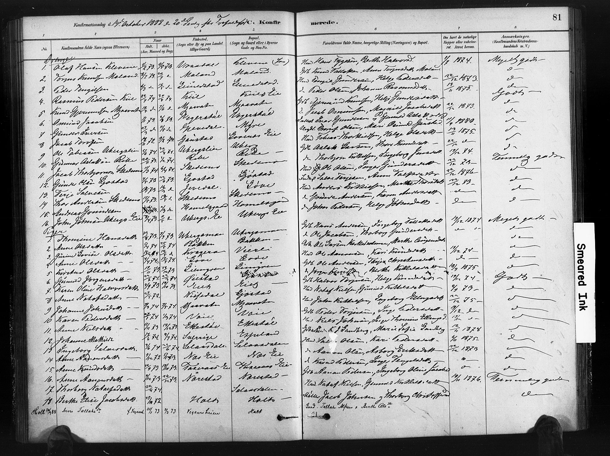 Gjerstad sokneprestkontor, SAK/1111-0014/F/Fa/Fab/L0004: Parish register (official) no. A 4, 1879-1890, p. 81