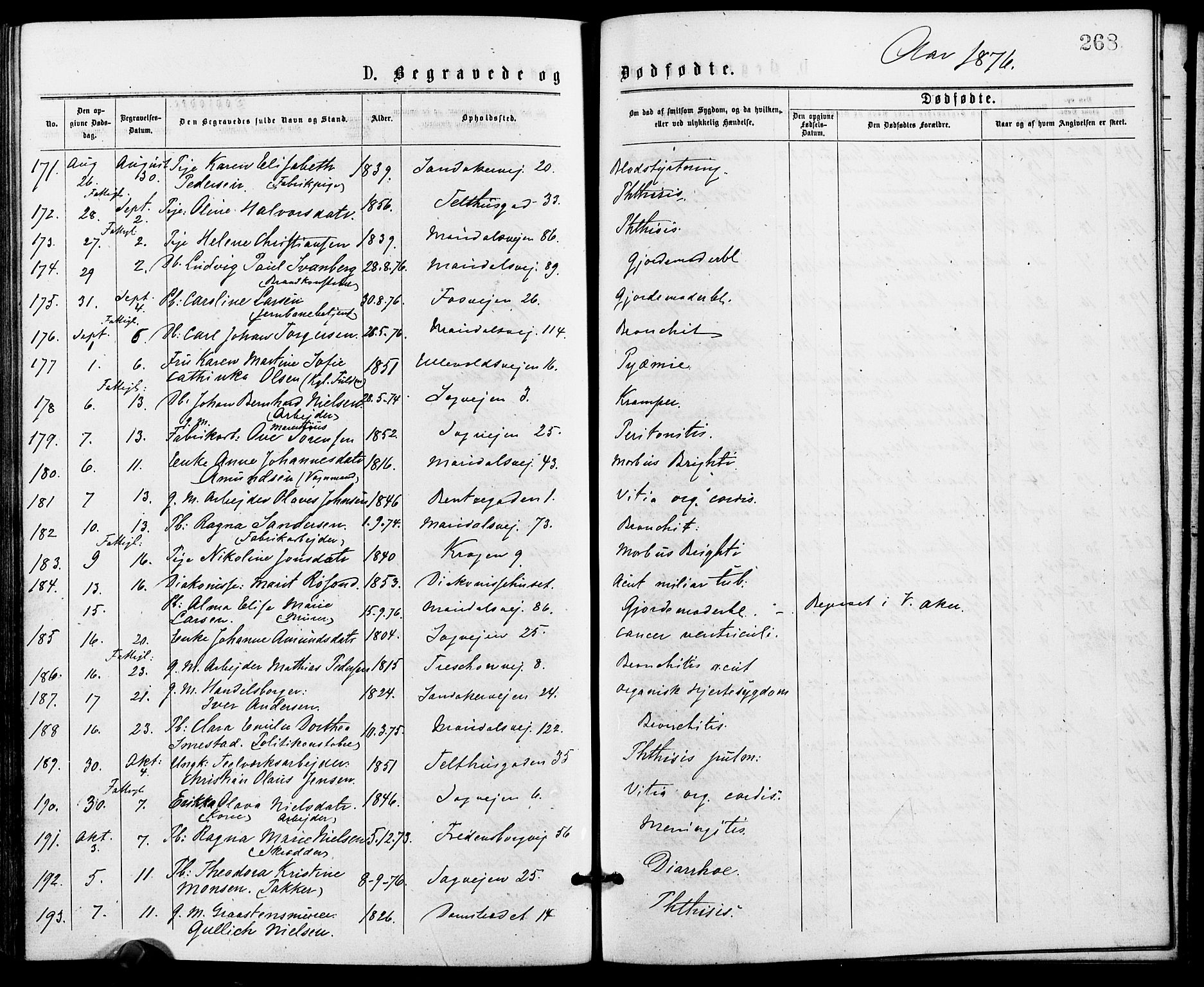 Gamle Aker prestekontor Kirkebøker, SAO/A-10617a/G/L0004: Parish register (copy) no. 4, 1875-1879, p. 268