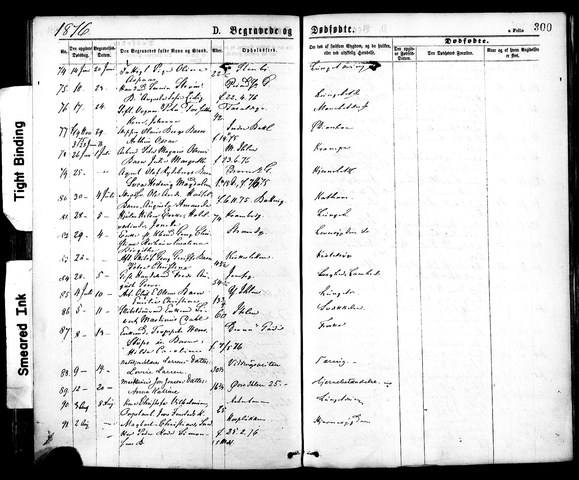 Ministerialprotokoller, klokkerbøker og fødselsregistre - Sør-Trøndelag, AV/SAT-A-1456/602/L0118: Parish register (official) no. 602A16, 1873-1879, p. 300