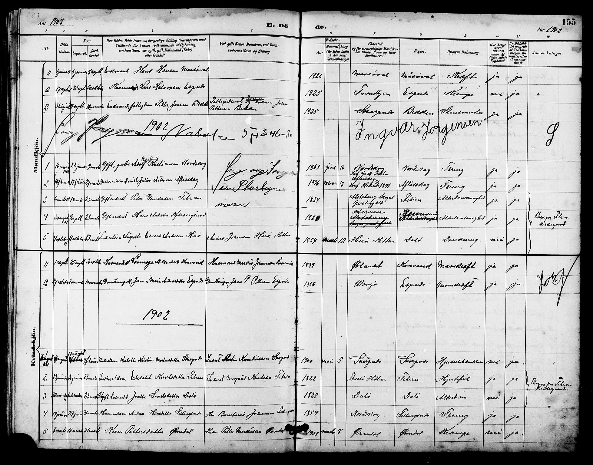Ministerialprotokoller, klokkerbøker og fødselsregistre - Sør-Trøndelag, SAT/A-1456/641/L0598: Parish register (copy) no. 641C02, 1893-1910, p. 155
