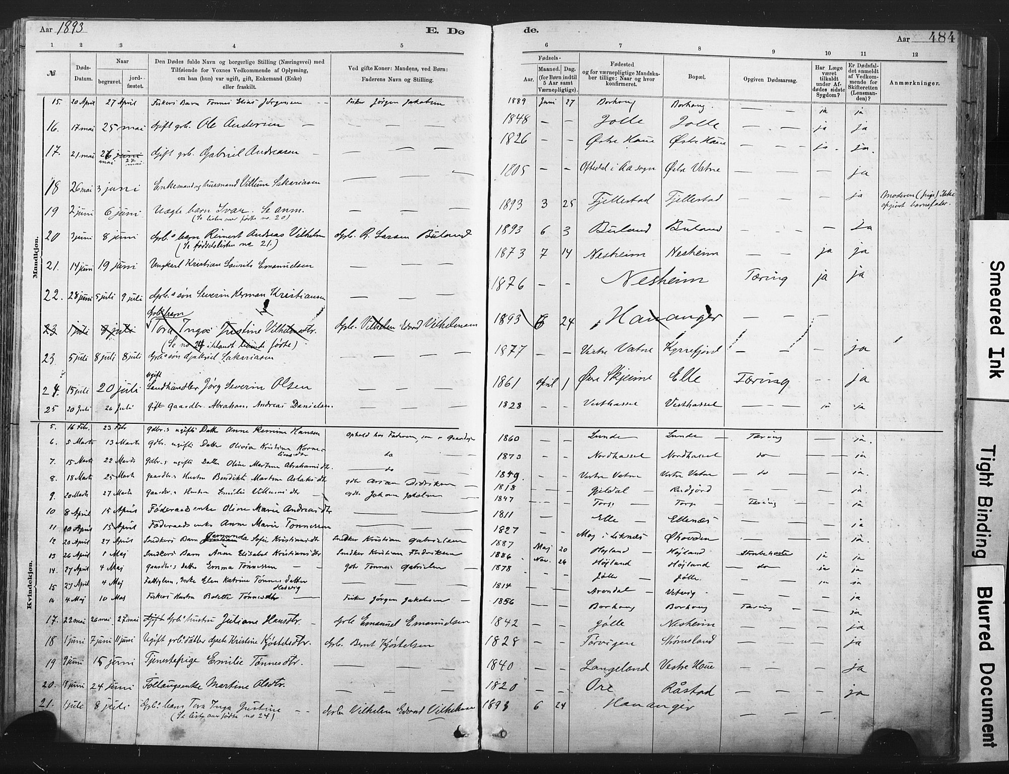 Lista sokneprestkontor, AV/SAK-1111-0027/F/Fa/L0012: Parish register (official) no. A 12, 1879-1903, p. 484