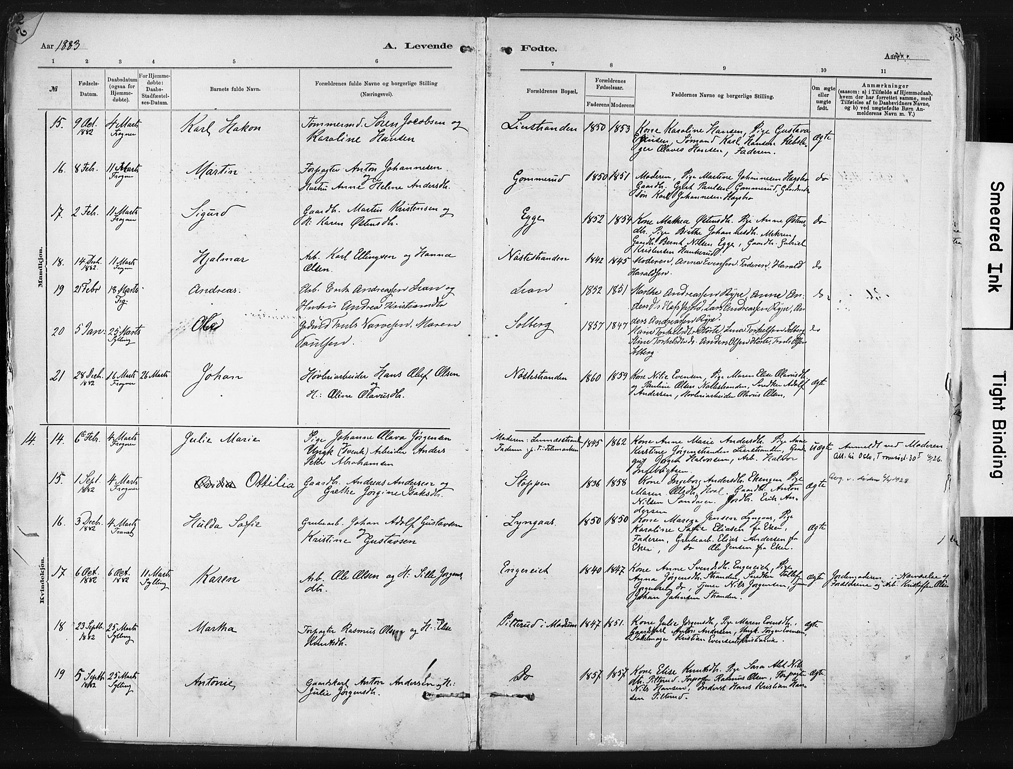 Lier kirkebøker, AV/SAKO-A-230/F/Fa/L0015: Parish register (official) no. I 15, 1883-1894, p. 3