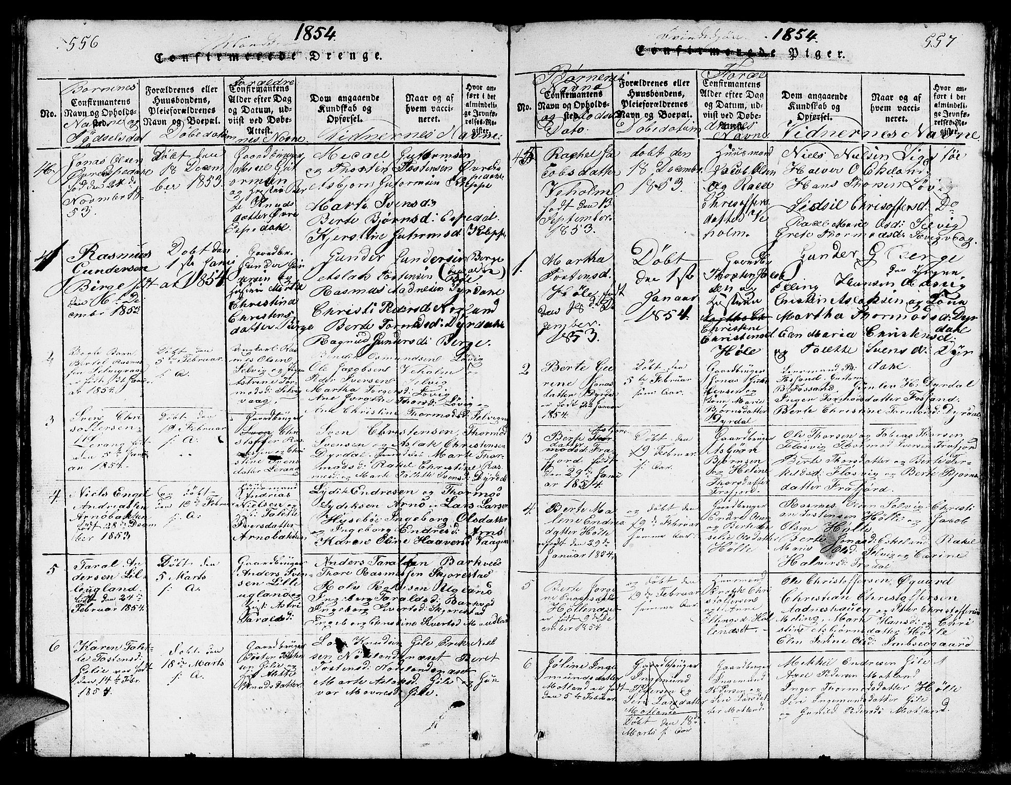 Strand sokneprestkontor, SAST/A-101828/H/Ha/Hab/L0002: Parish register (copy) no. B 2, 1816-1854, p. 556-557