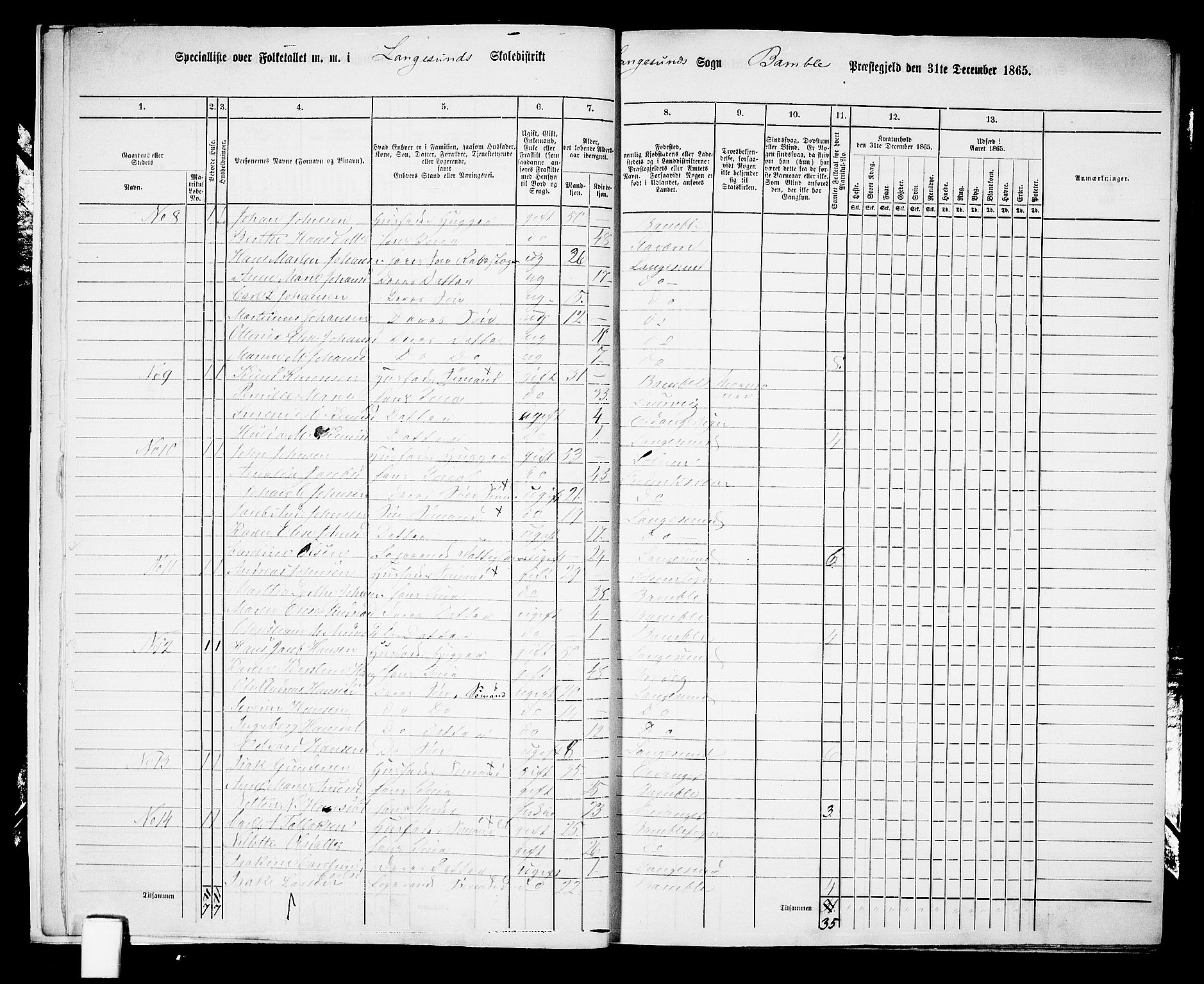 RA, 1865 census for Bamble, 1865, p. 194