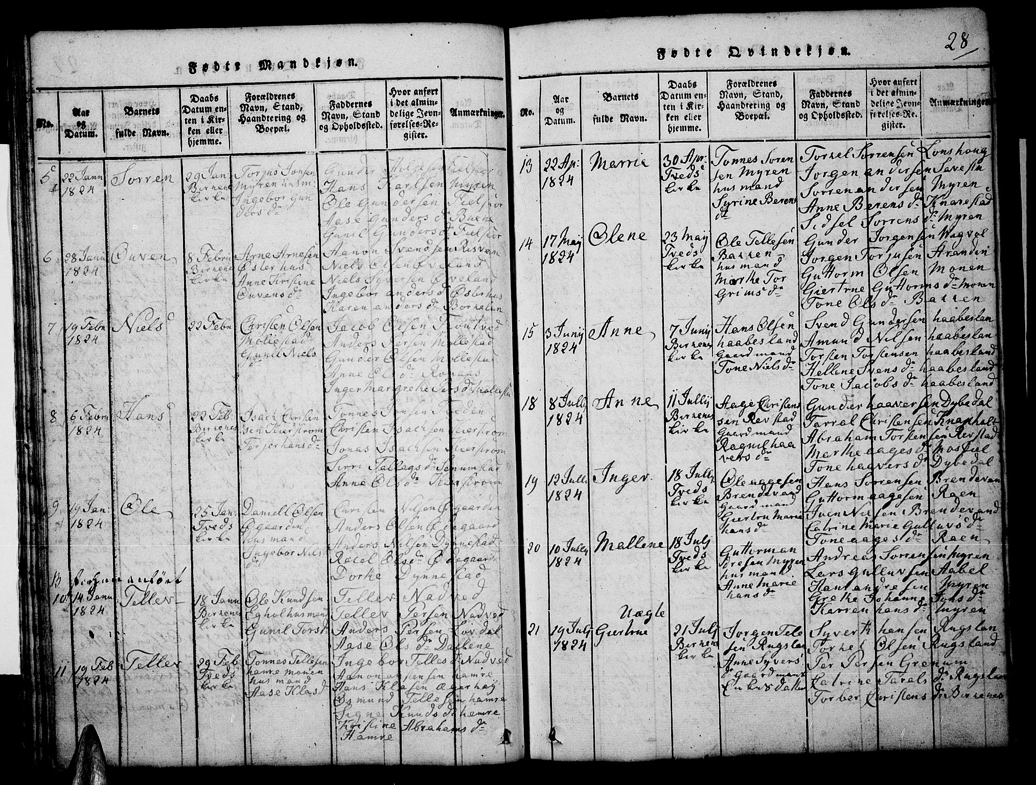 Tveit sokneprestkontor, AV/SAK-1111-0043/F/Fb/L0001: Parish register (copy) no. B 1, 1820-1834, p. 28