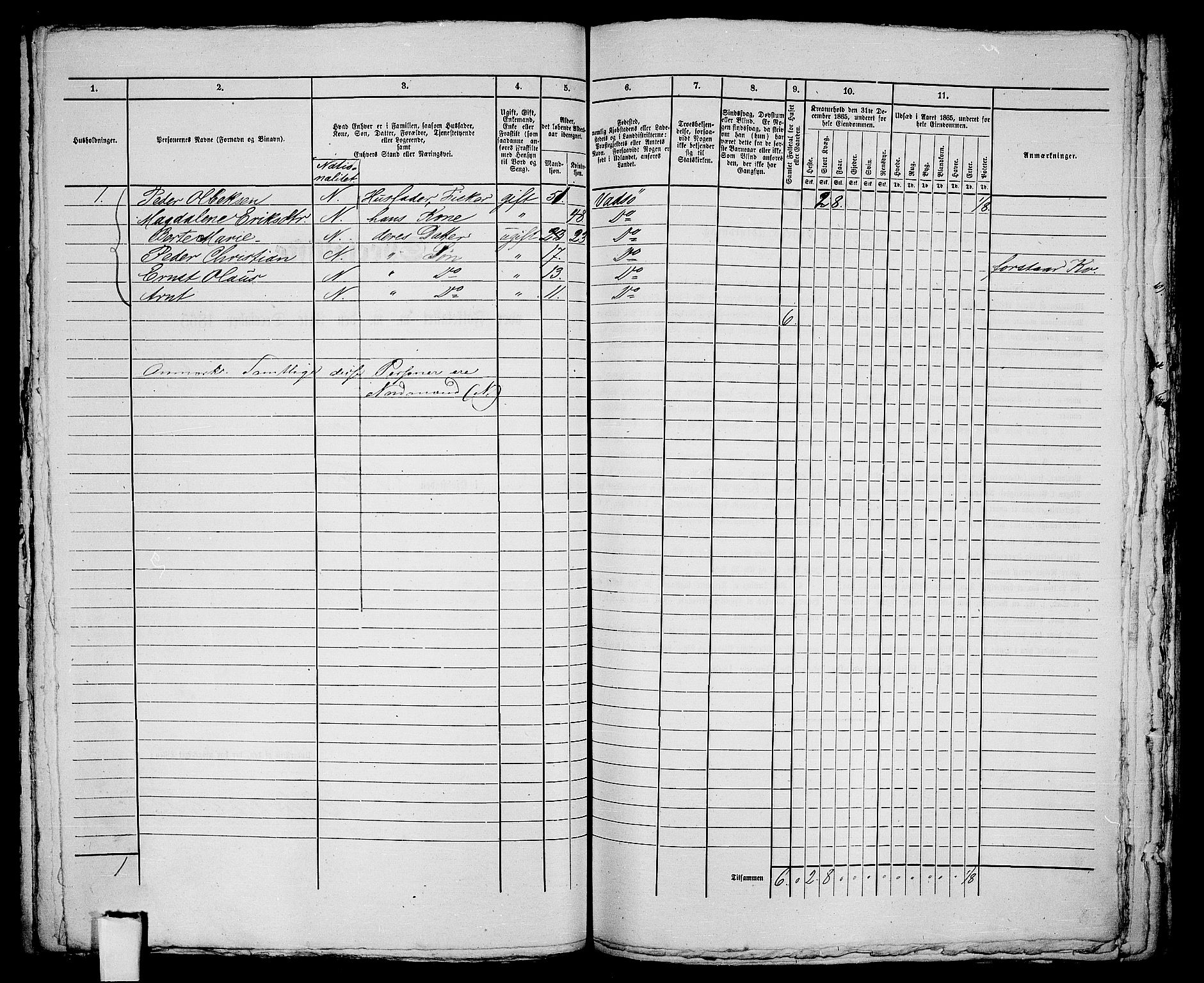 RA, 1865 census for Vadsø/Vadsø, 1865, p. 203