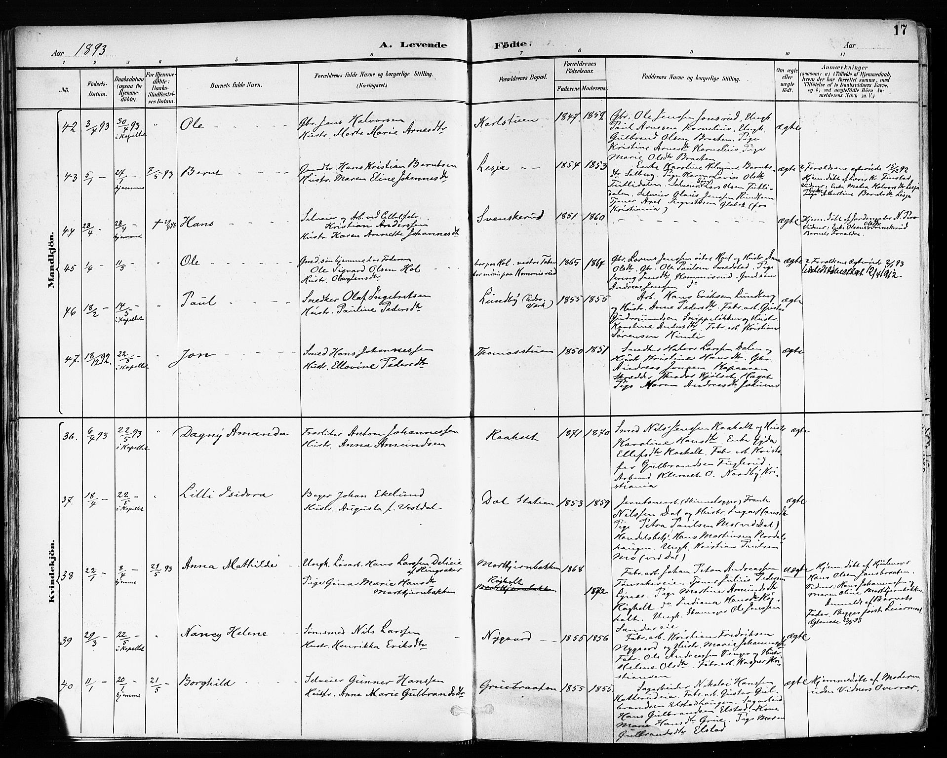 Eidsvoll prestekontor Kirkebøker, SAO/A-10888/F/Fa/L0004: Parish register (official) no. I 4, 1891-1900, p. 17