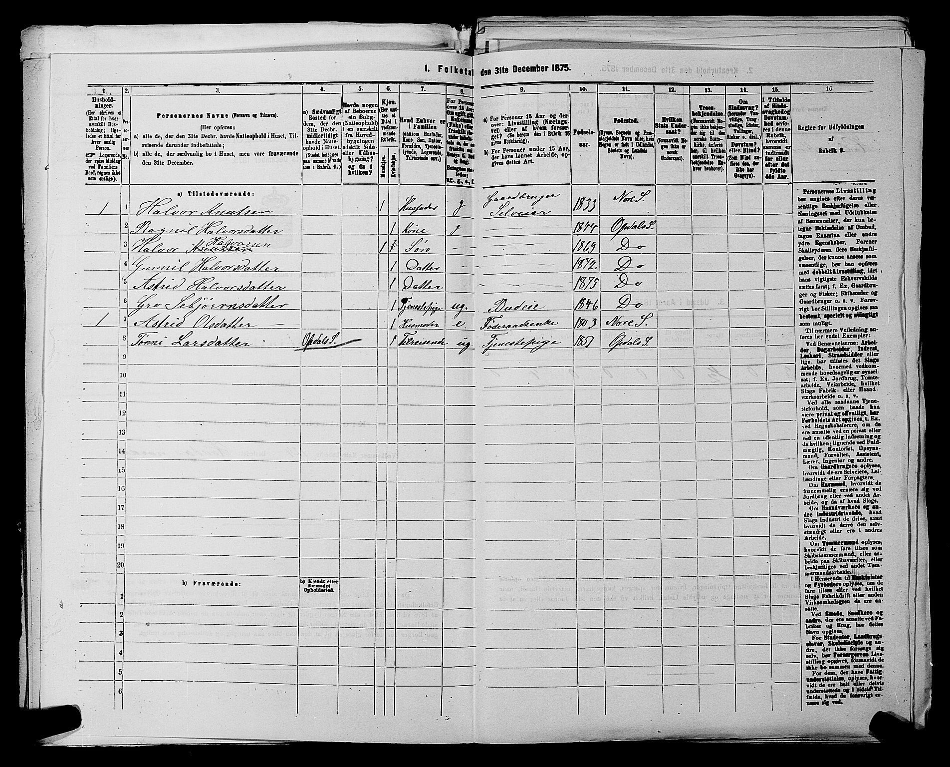 SAKO, 1875 census for 0633P Nore, 1875, p. 632