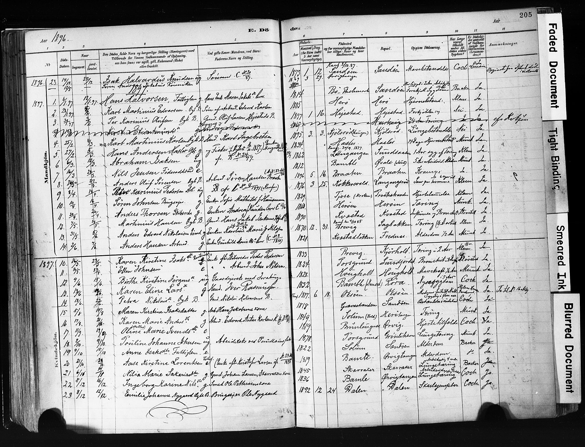 Eidanger kirkebøker, AV/SAKO-A-261/F/Fa/L0012: Parish register (official) no. 12, 1879-1900, p. 205