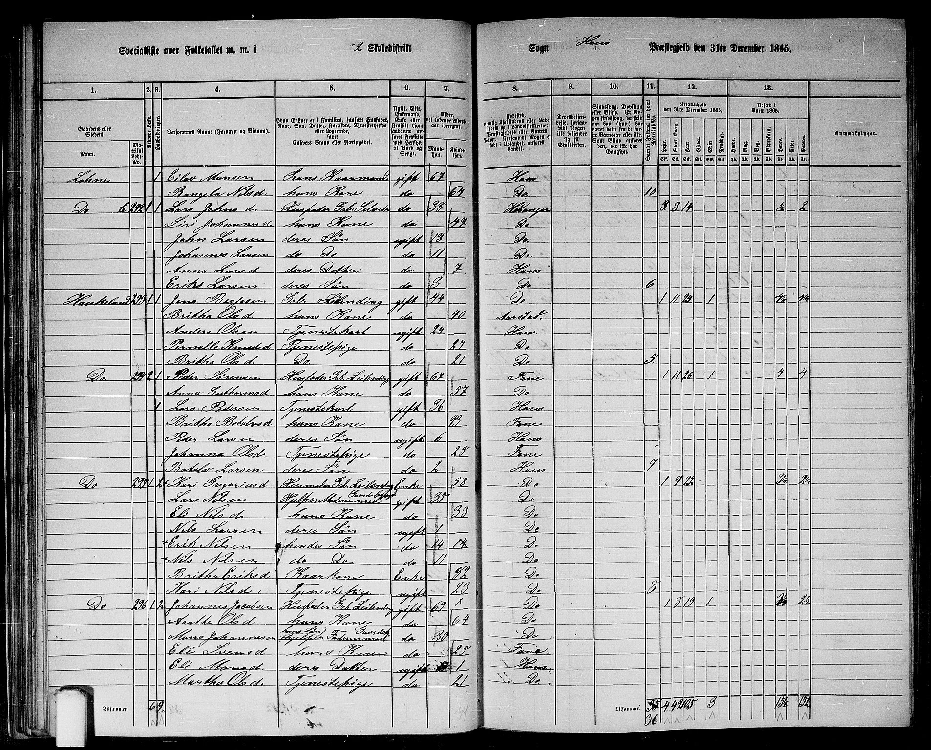 RA, 1865 census for Haus, 1865, p. 54