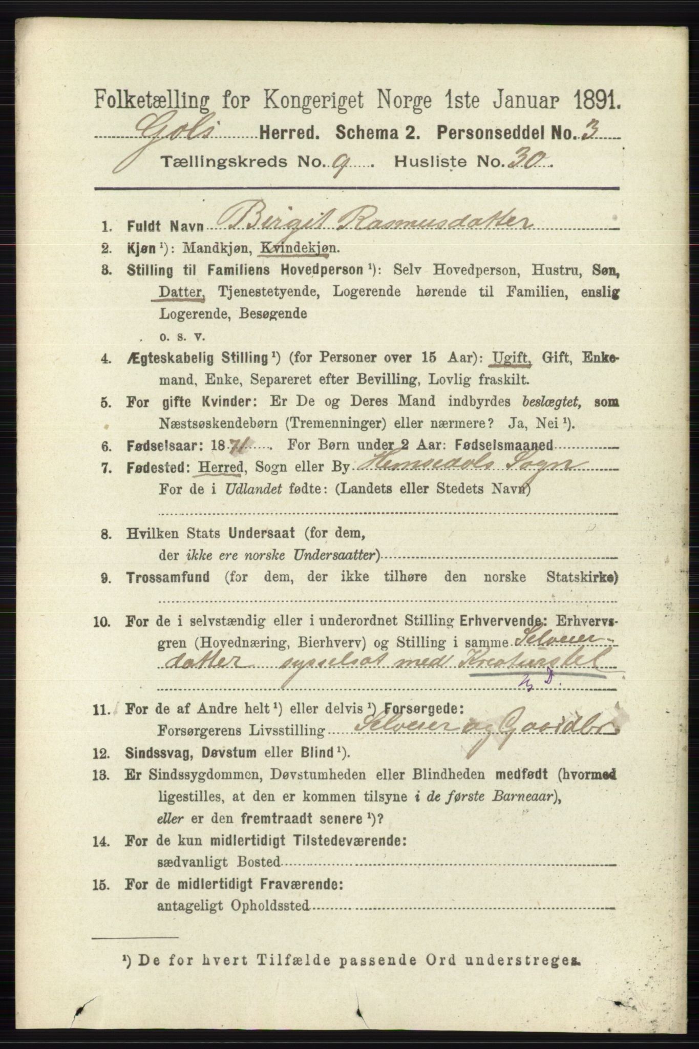 RA, 1891 census for 0617 Gol og Hemsedal, 1891, p. 3568