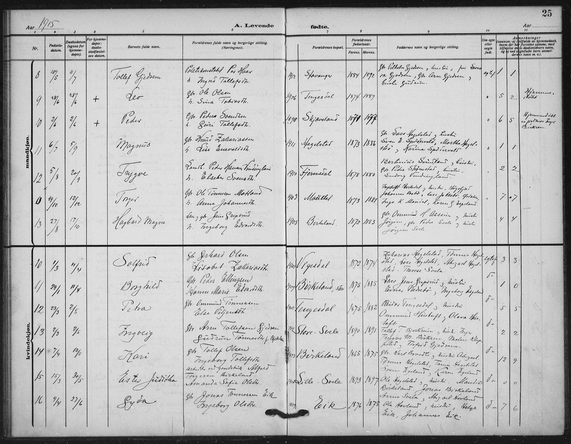 Helleland sokneprestkontor, AV/SAST-A-101810: Parish register (official) no. A 11, 1909-1922, p. 25