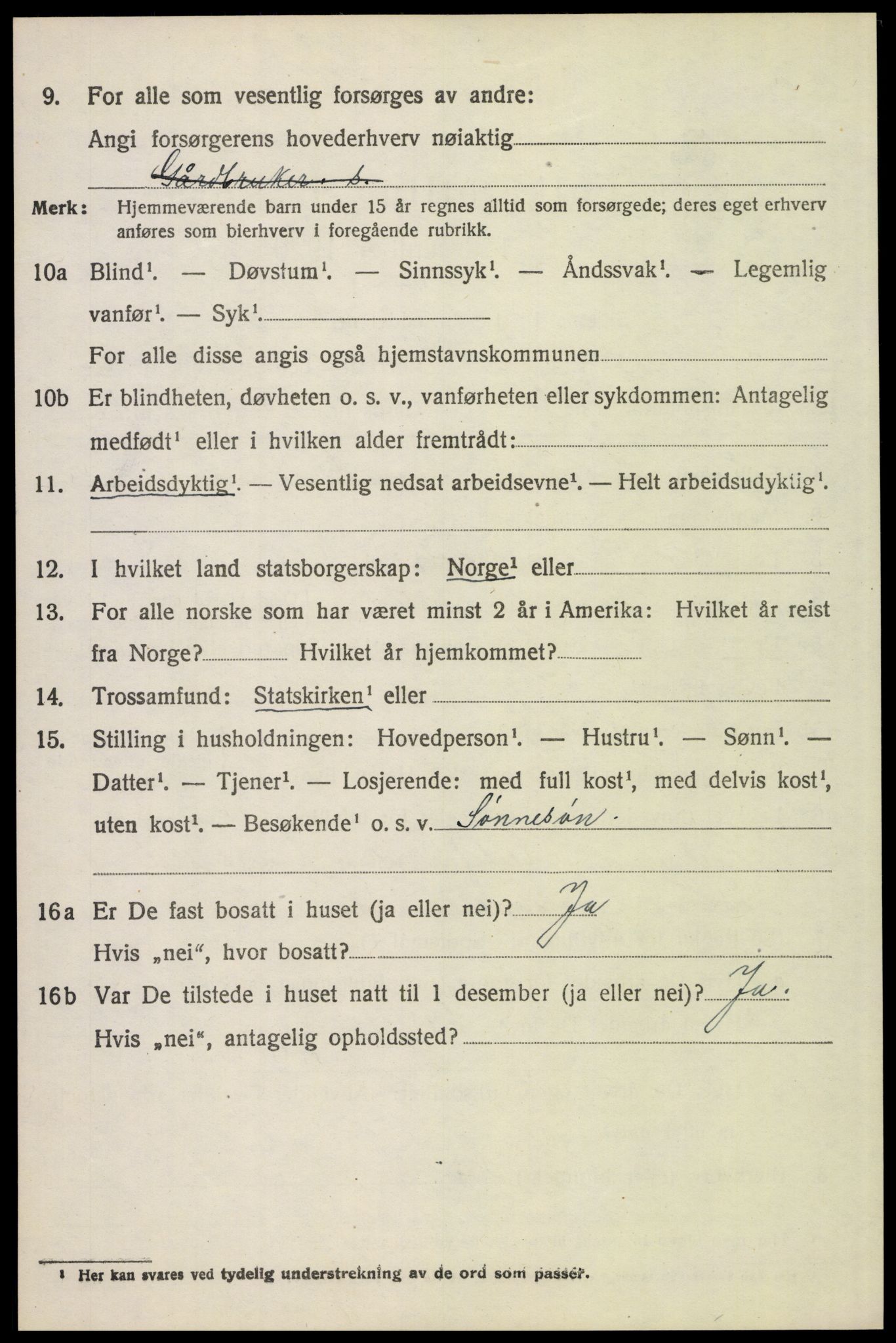 SAH, 1920 census for Tynset, 1920, p. 5625