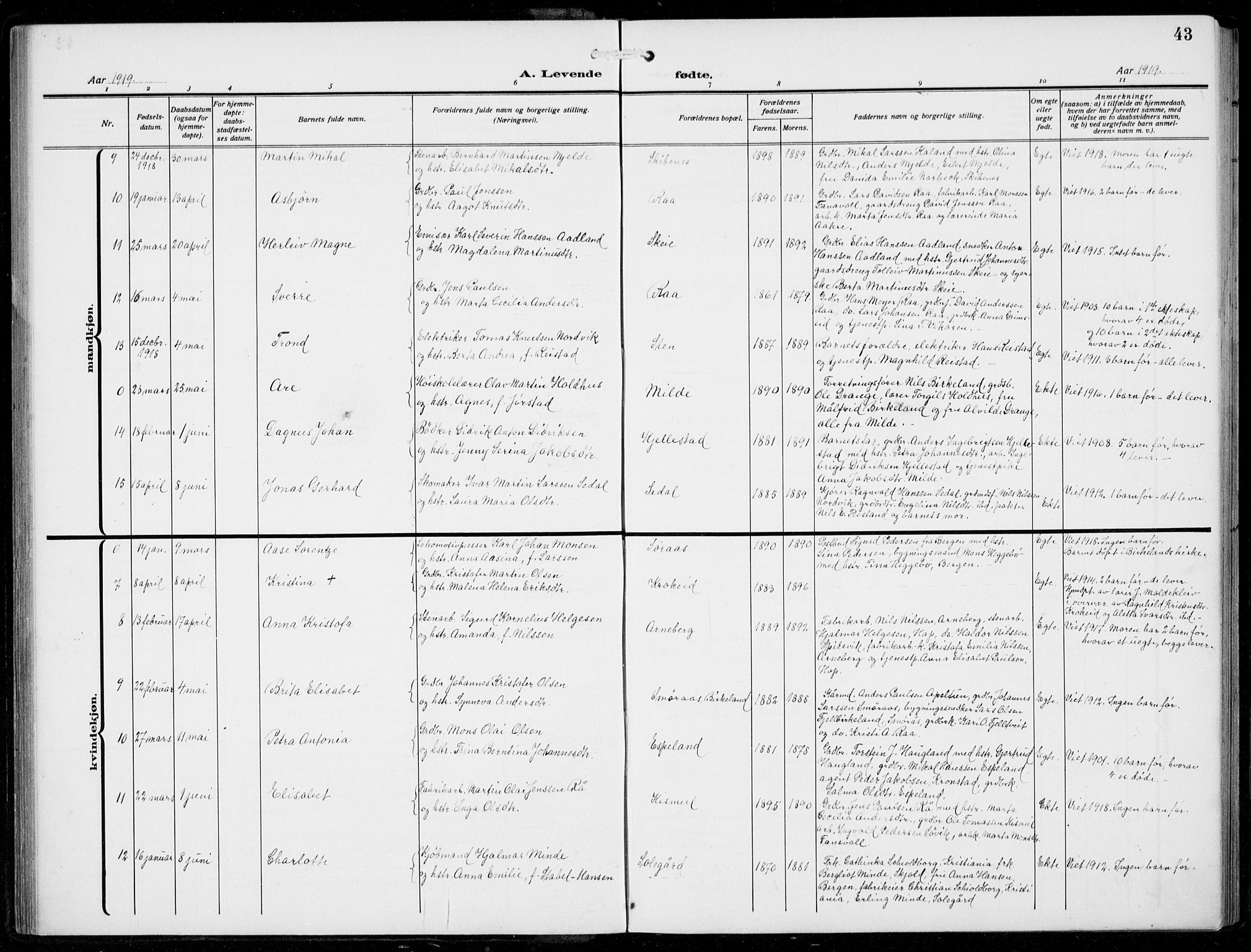 Fana Sokneprestembete, AV/SAB-A-75101/H/Hab/Haba/L0005: Parish register (copy) no. A 5, 1911-1932, p. 43