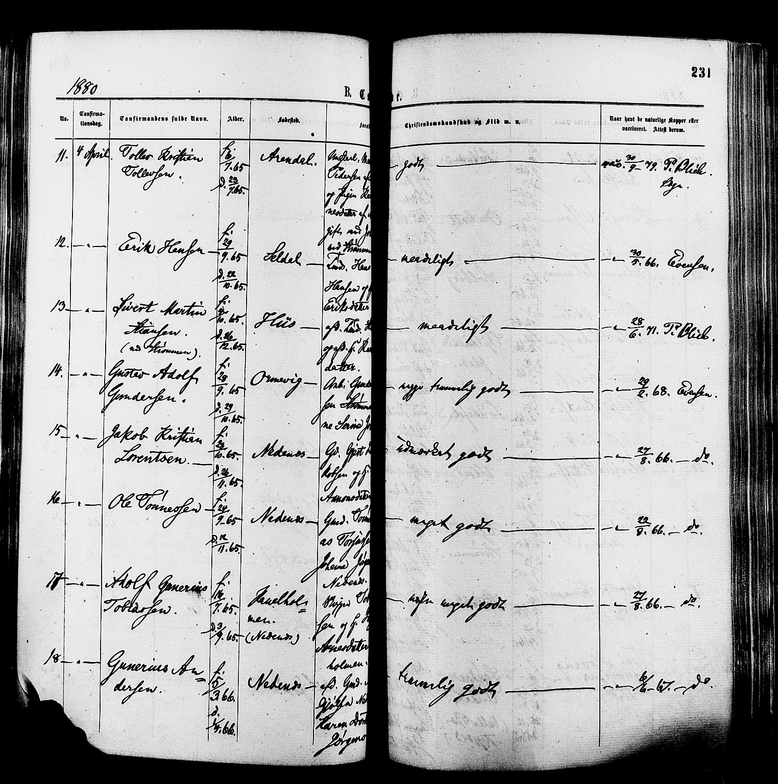 Øyestad sokneprestkontor, AV/SAK-1111-0049/F/Fa/L0016: Parish register (official) no. A 16, 1874-1886, p. 231