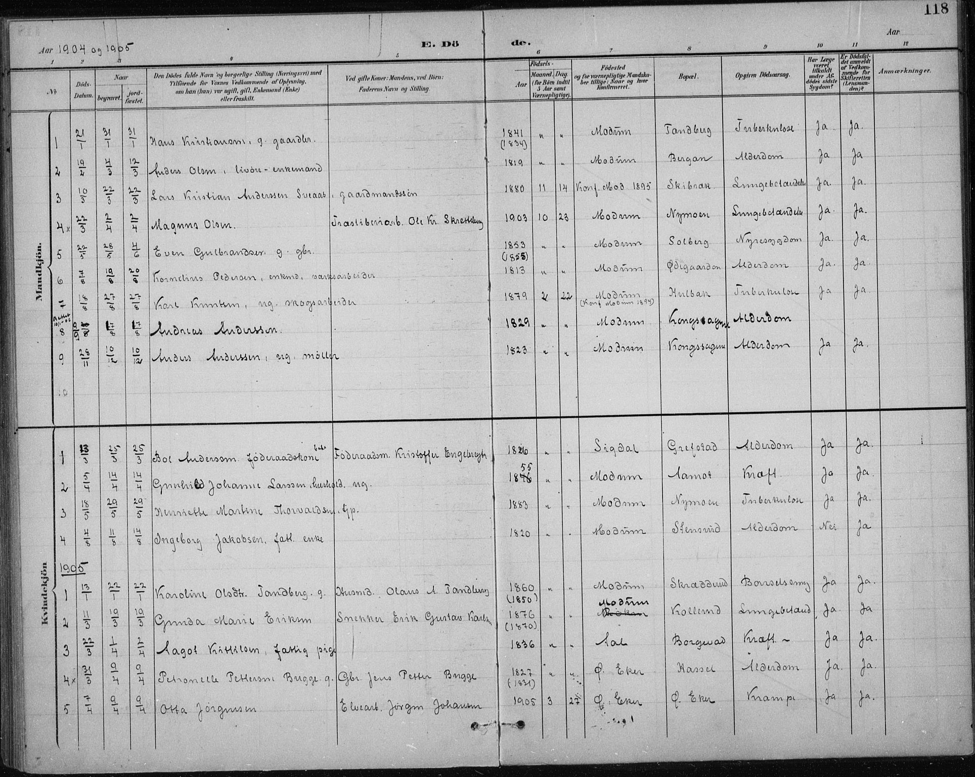 Modum kirkebøker, AV/SAKO-A-234/F/Fa/L0017: Parish register (official) no. 17, 1900-1915, p. 118