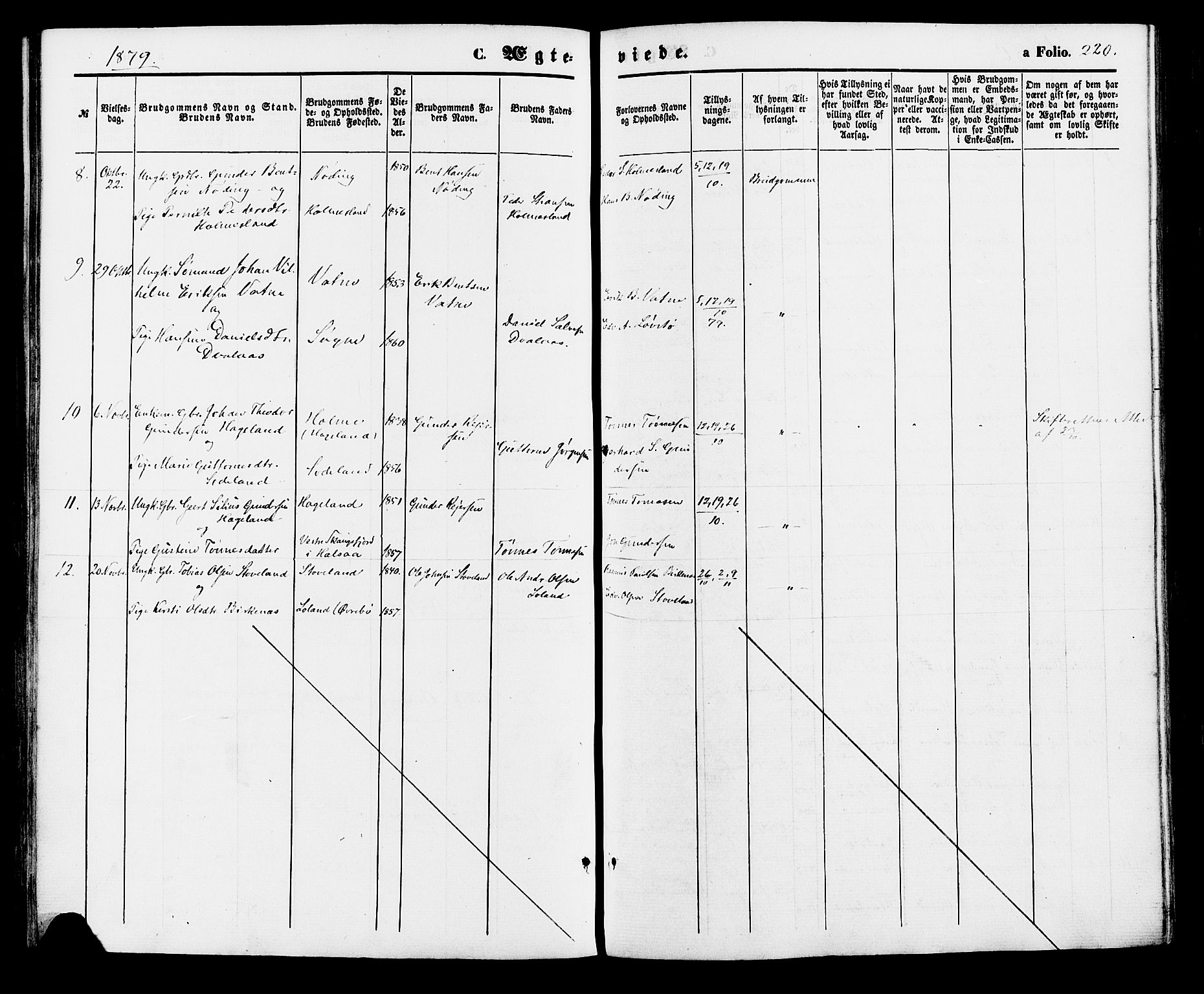 Holum sokneprestkontor, AV/SAK-1111-0022/F/Fa/Faa/L0006: Parish register (official) no. A 6, 1865-1883, p. 220