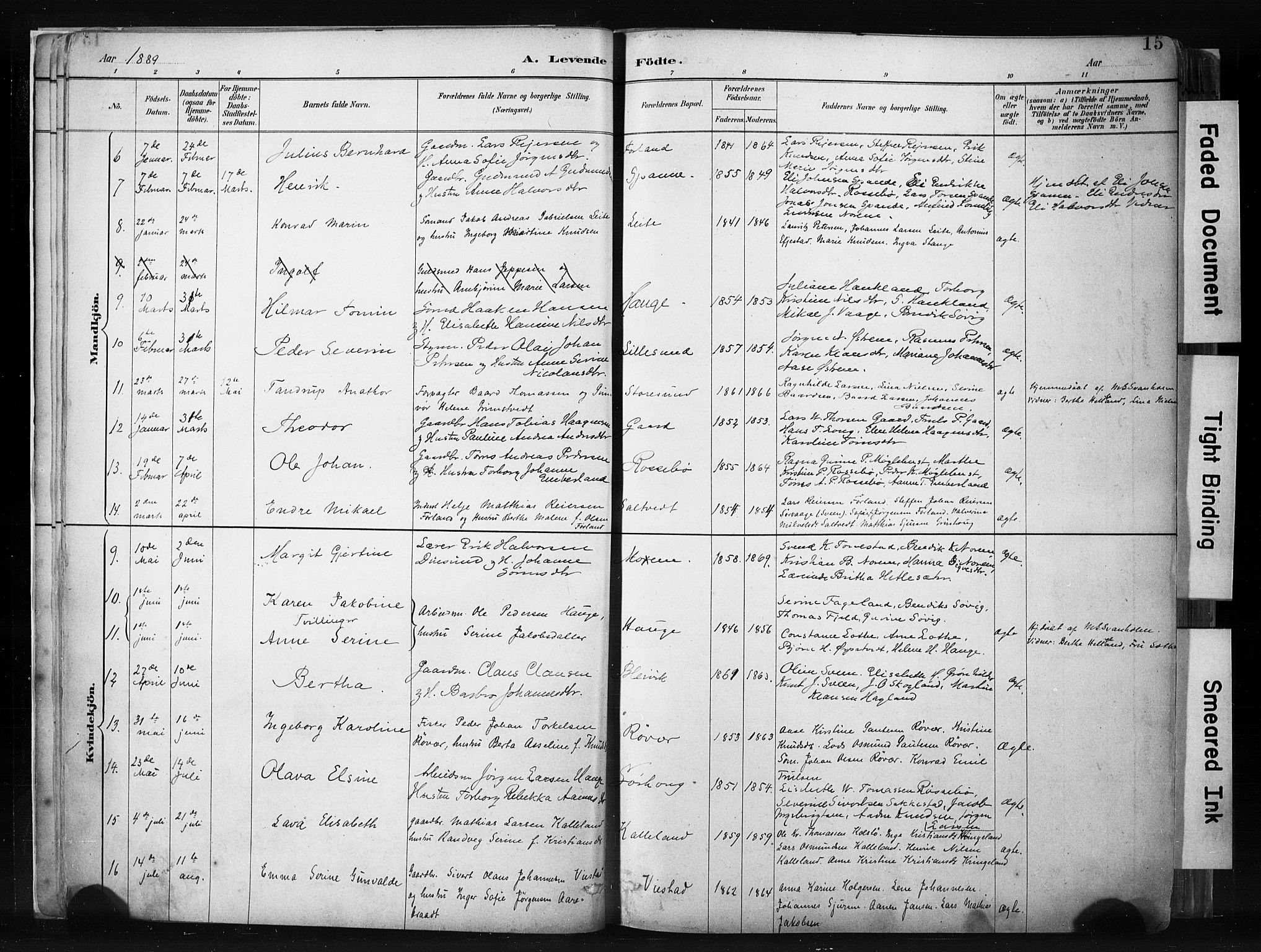 Haugesund sokneprestkontor, AV/SAST-A -101863/H/Ha/Haa/L0004: Parish register (official) no. A 4, 1886-1908, p. 15