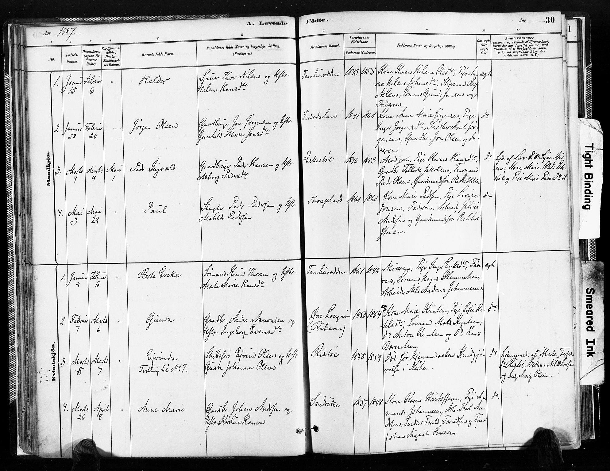 Austre Moland sokneprestkontor, SAK/1111-0001/F/Fa/Faa/L0010: Parish register (official) no. A 10, 1880-1904, p. 30