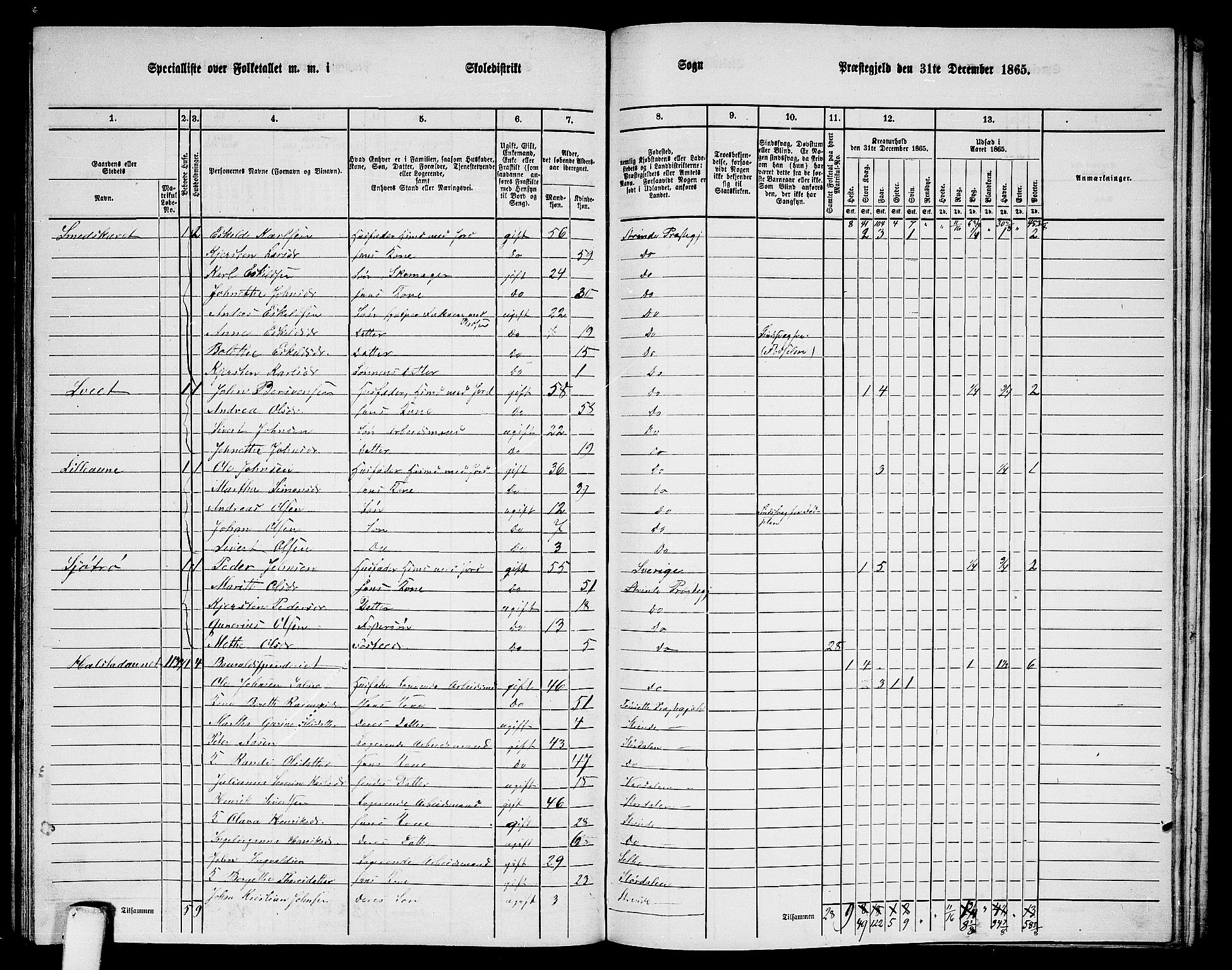 RA, 1865 census for Strinda, 1865, p. 232