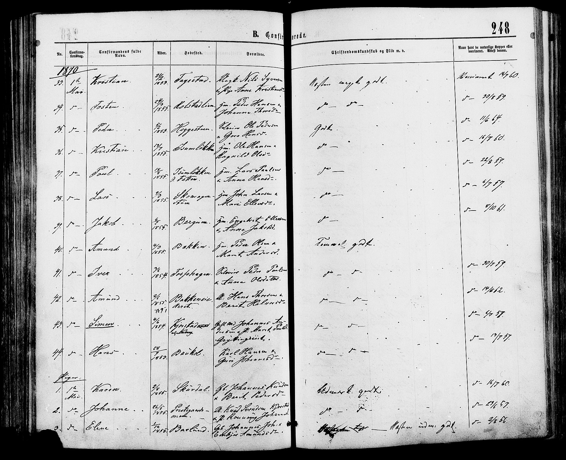 Sør-Fron prestekontor, SAH/PREST-010/H/Ha/Haa/L0002: Parish register (official) no. 2, 1864-1880, p. 248