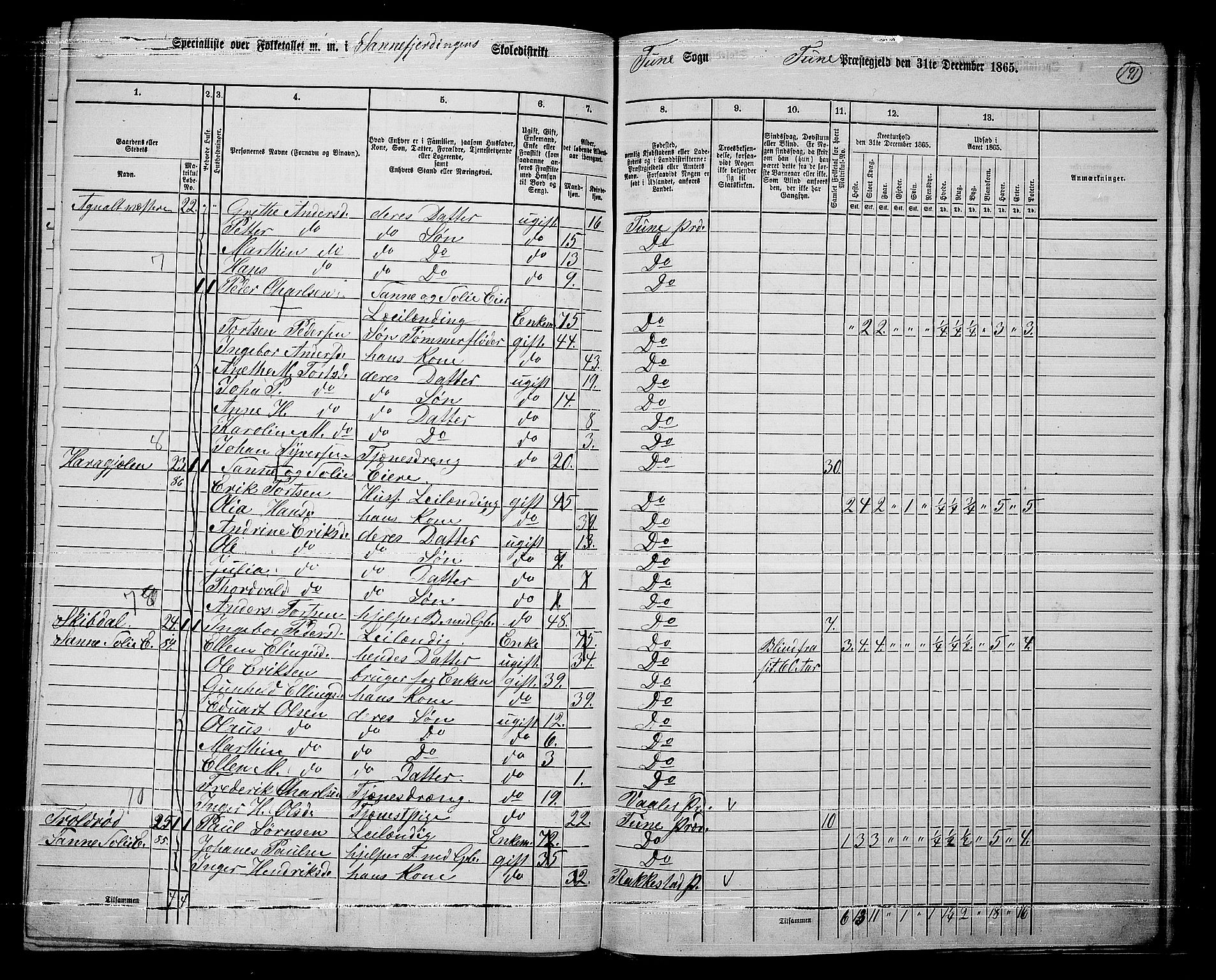 RA, 1865 census for Tune, 1865, p. 265