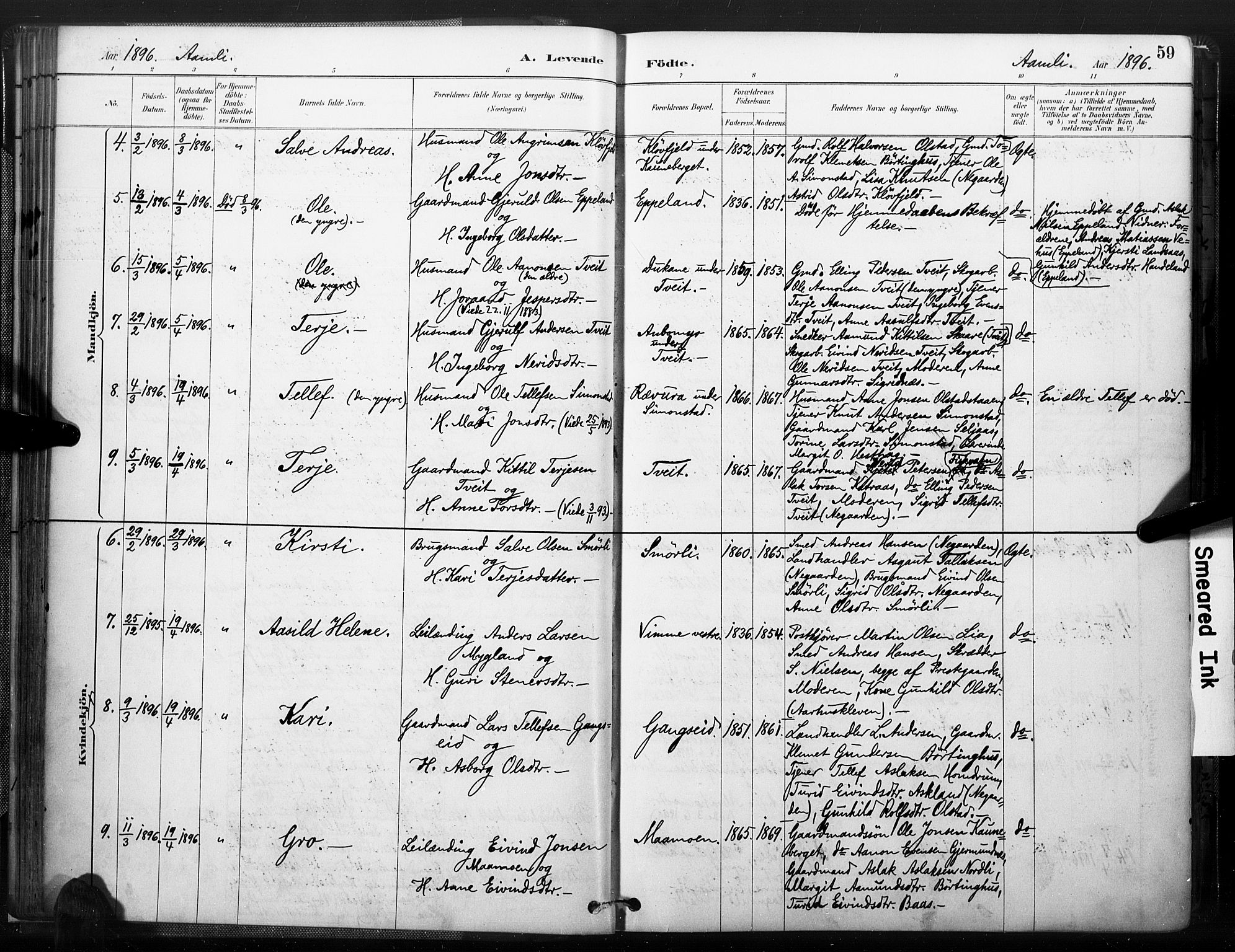 Åmli sokneprestkontor, AV/SAK-1111-0050/F/Fa/Fac/L0010: Parish register (official) no. A 10 /1, 1885-1899, p. 59