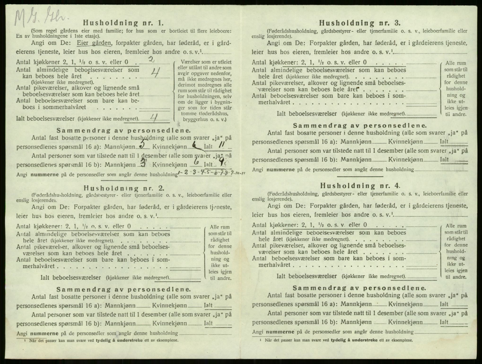 SAKO, 1920 census for Våle, 1920, p. 1033
