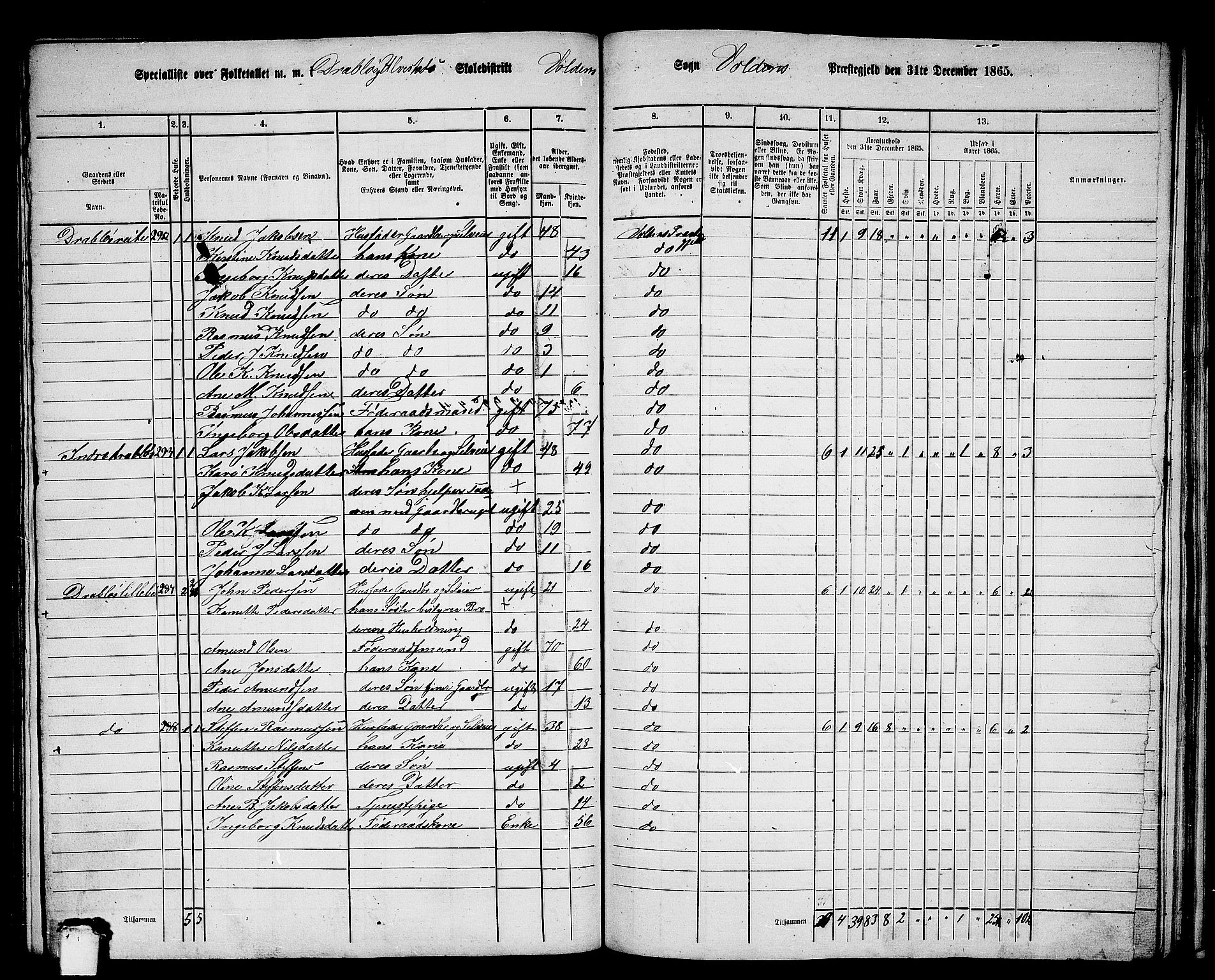 RA, 1865 census for Volda, 1865, p. 148