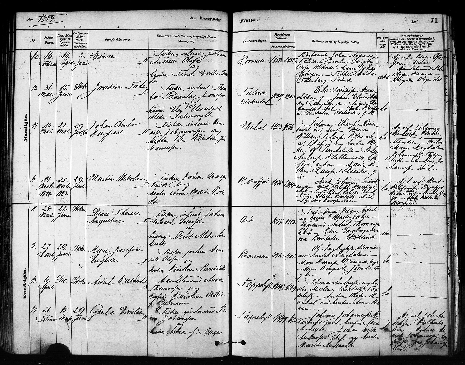 Talvik sokneprestkontor, AV/SATØ-S-1337/H/Ha/L0012kirke: Parish register (official) no. 12, 1878-1886, p. 71