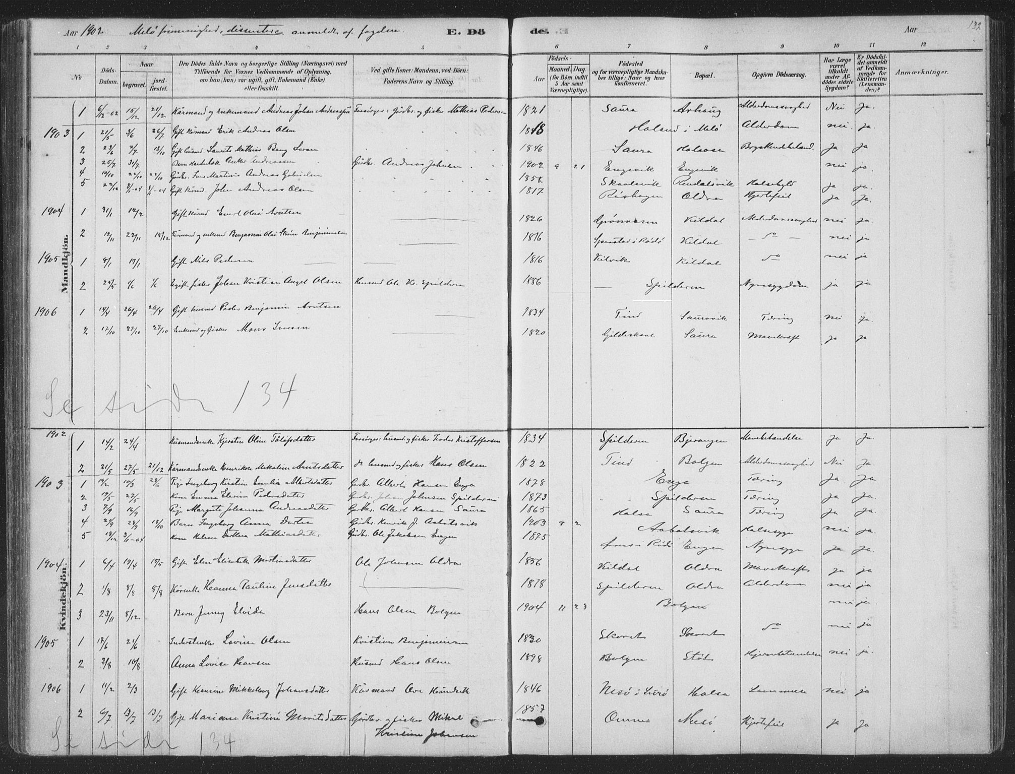 Ministerialprotokoller, klokkerbøker og fødselsregistre - Nordland, SAT/A-1459/843/L0627: Parish register (official) no. 843A02, 1878-1908, p. 132