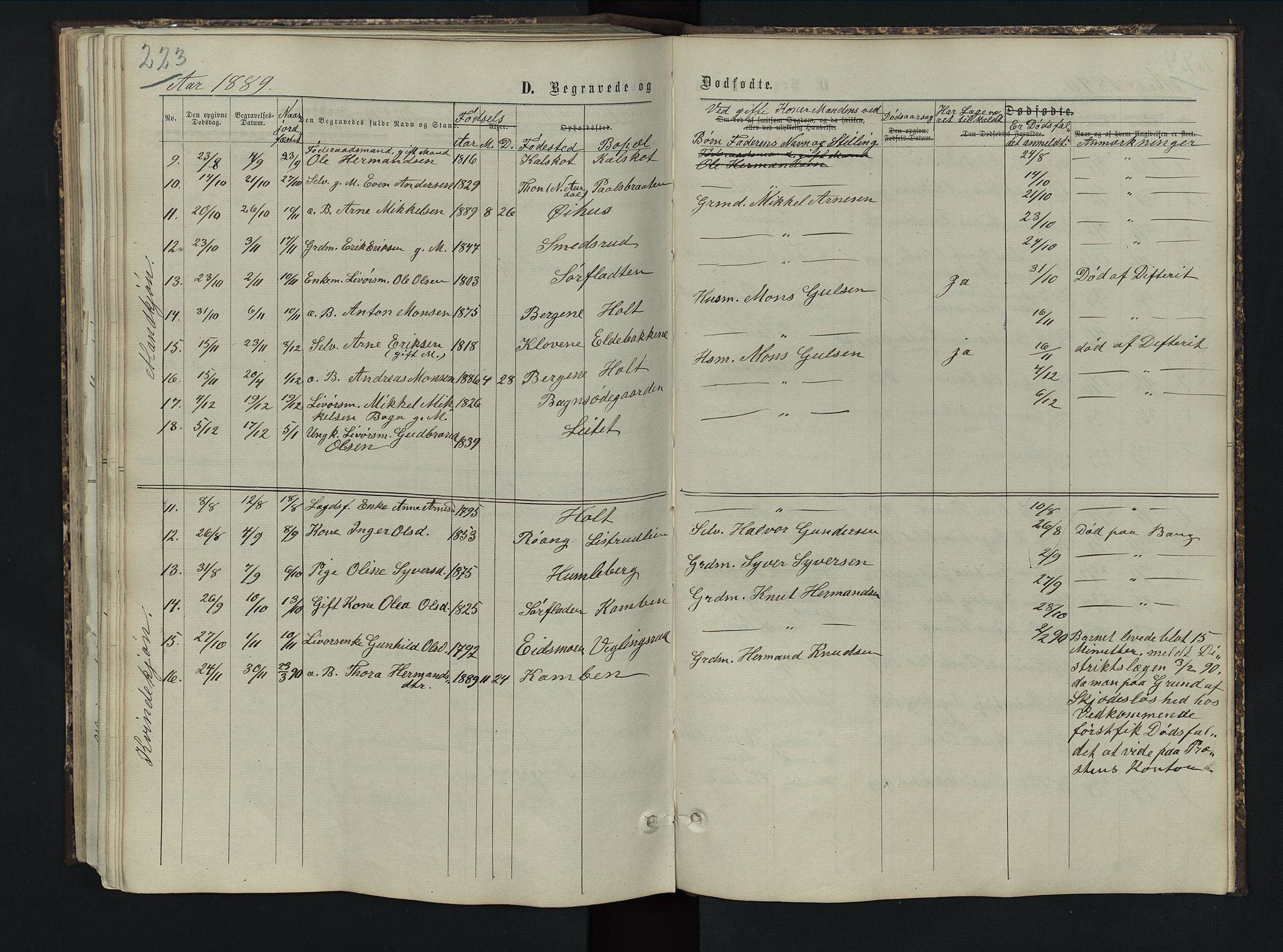 Sør-Aurdal prestekontor, SAH/PREST-128/H/Ha/Hab/L0005: Parish register (copy) no. 5, 1866-1893, p. 223