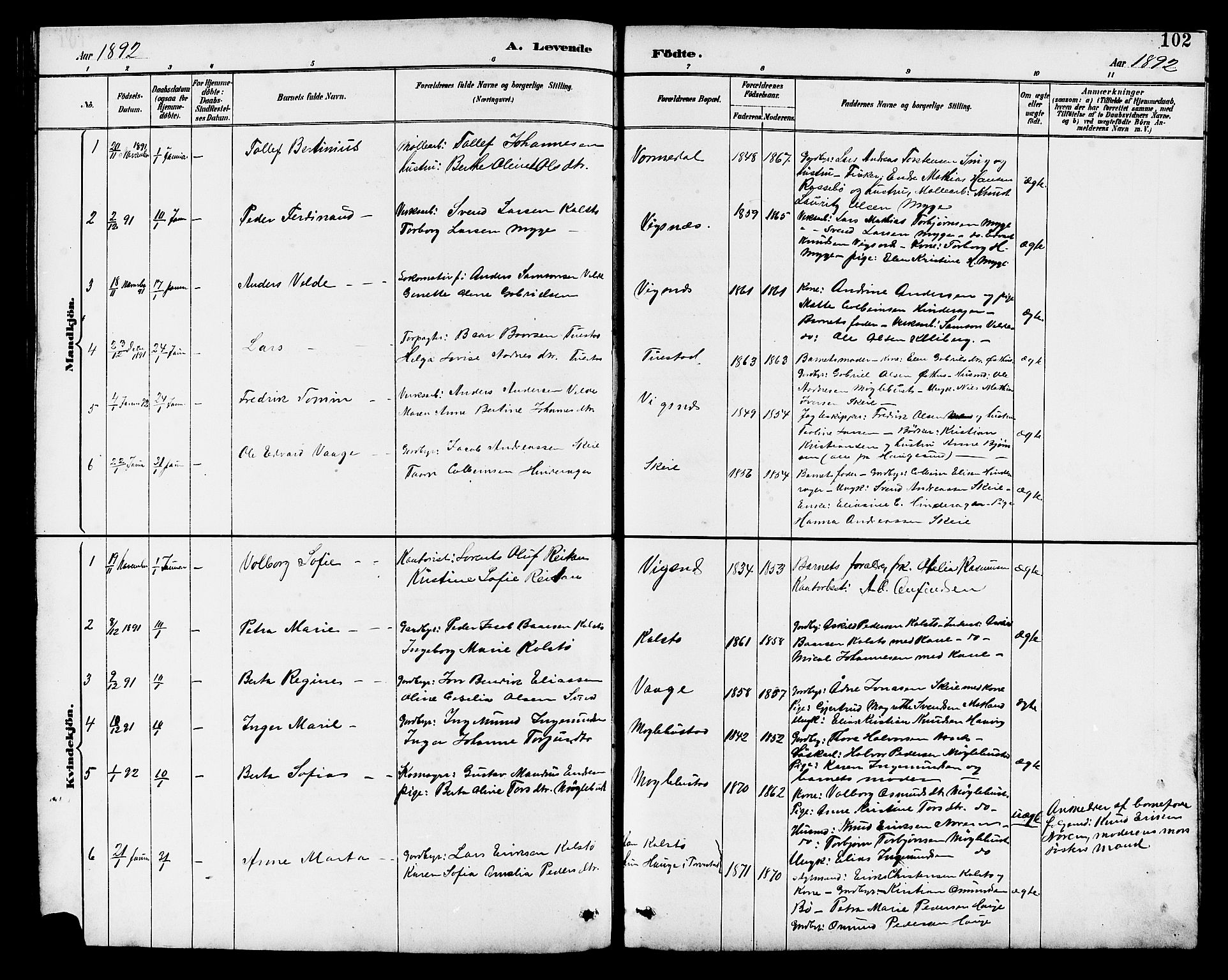 Avaldsnes sokneprestkontor, SAST/A -101851/H/Ha/Hab/L0007: Parish register (copy) no. B 7, 1885-1909, p. 102